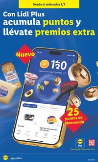 Lidl folleto
