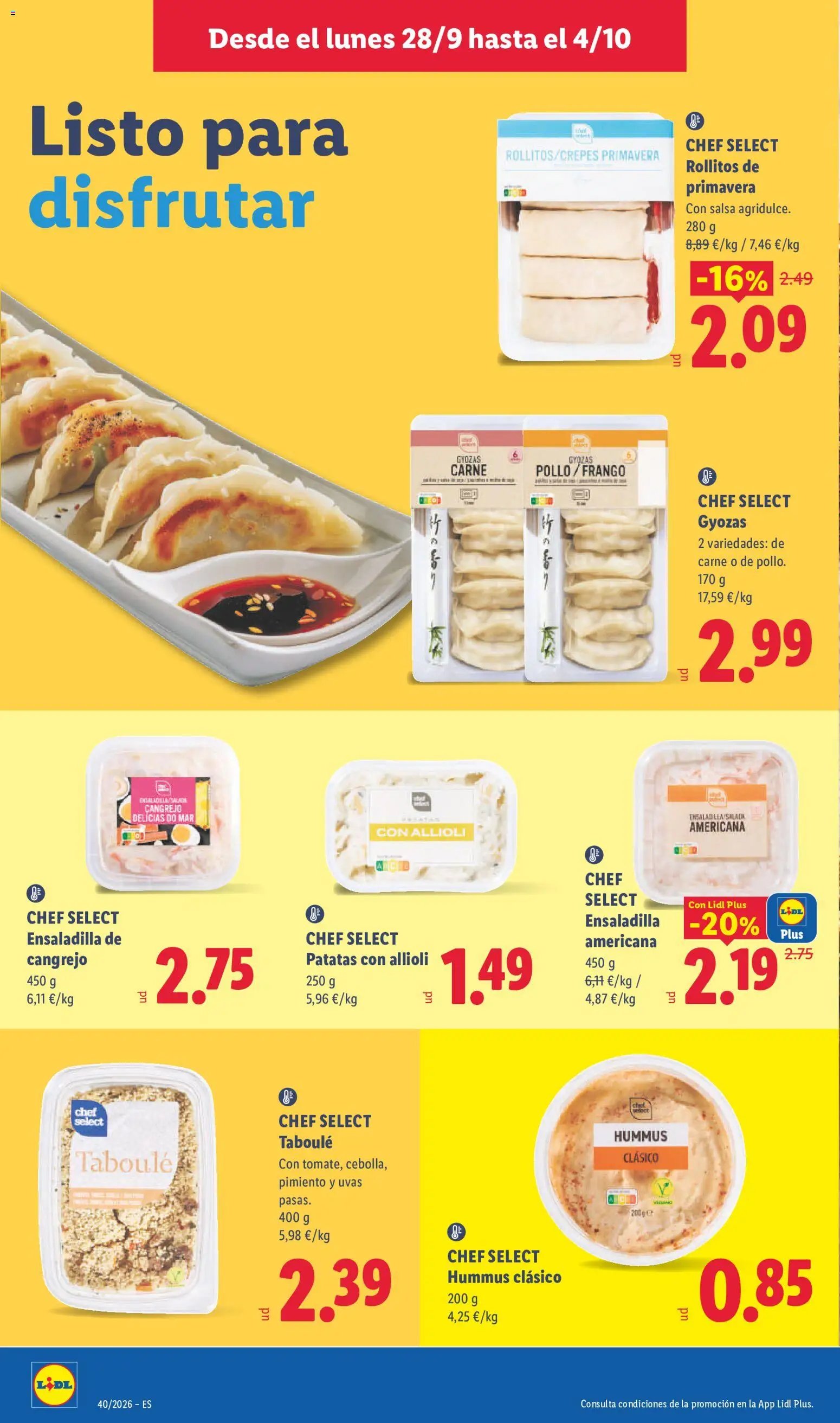 Lidl folleto