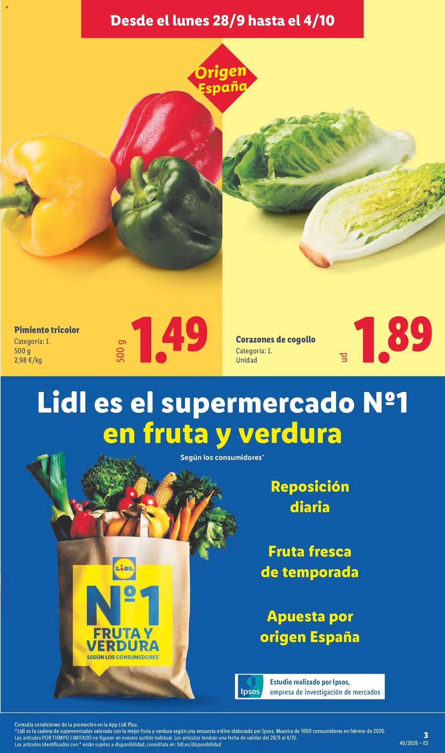 Lidl folleto