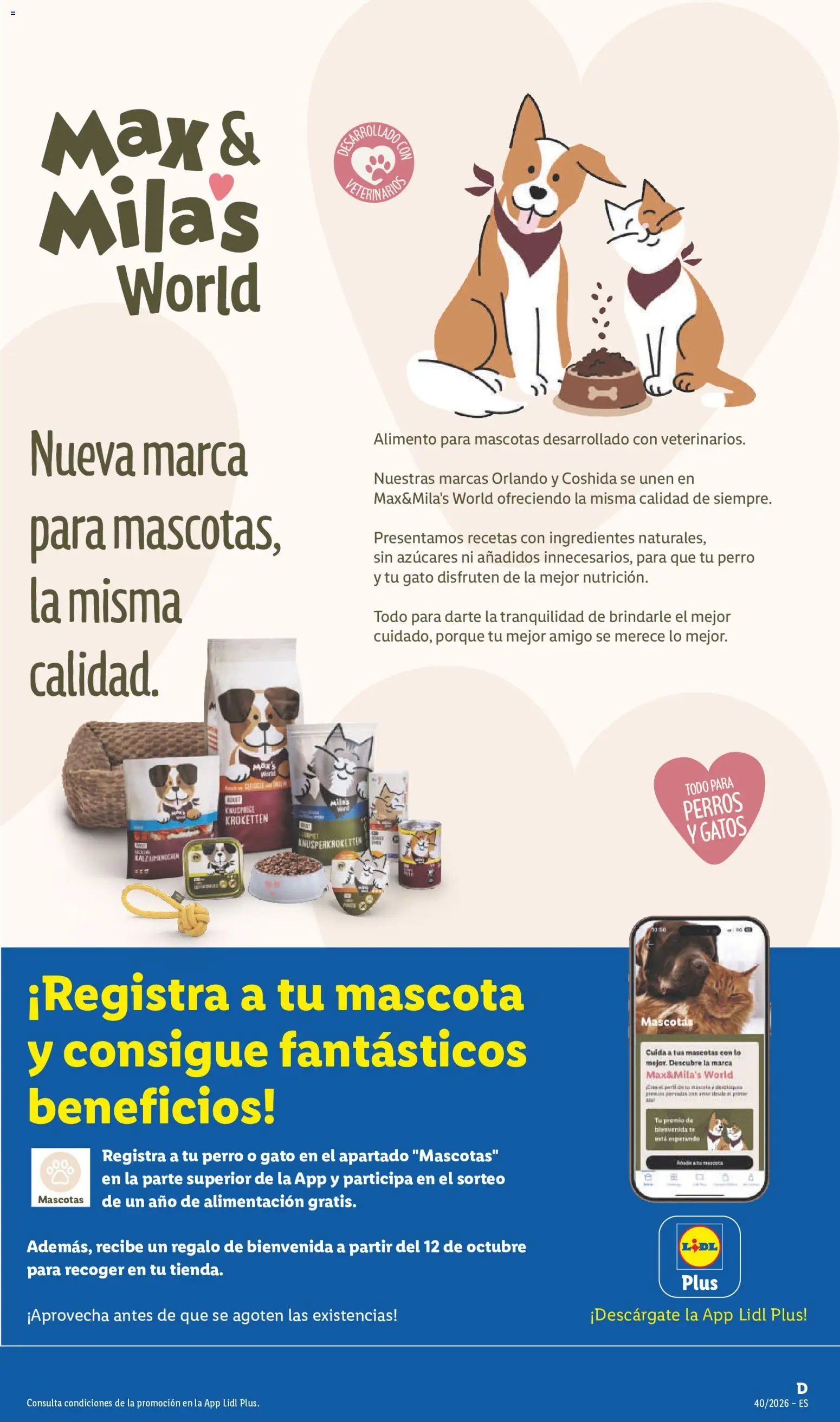 Lidl folleto