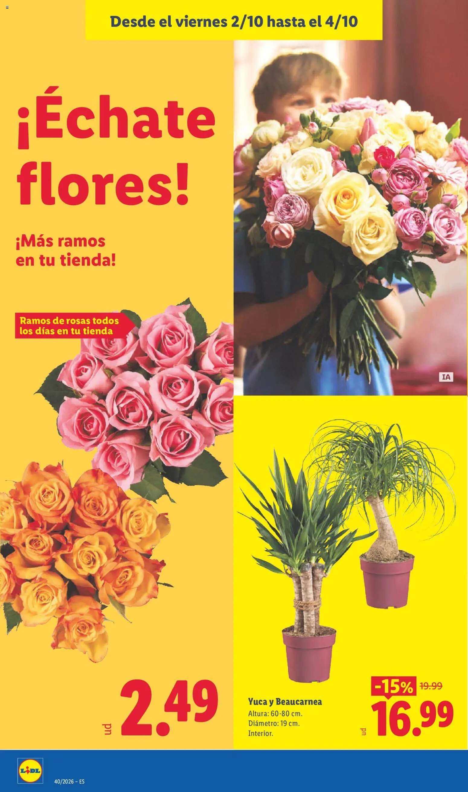Lidl folleto