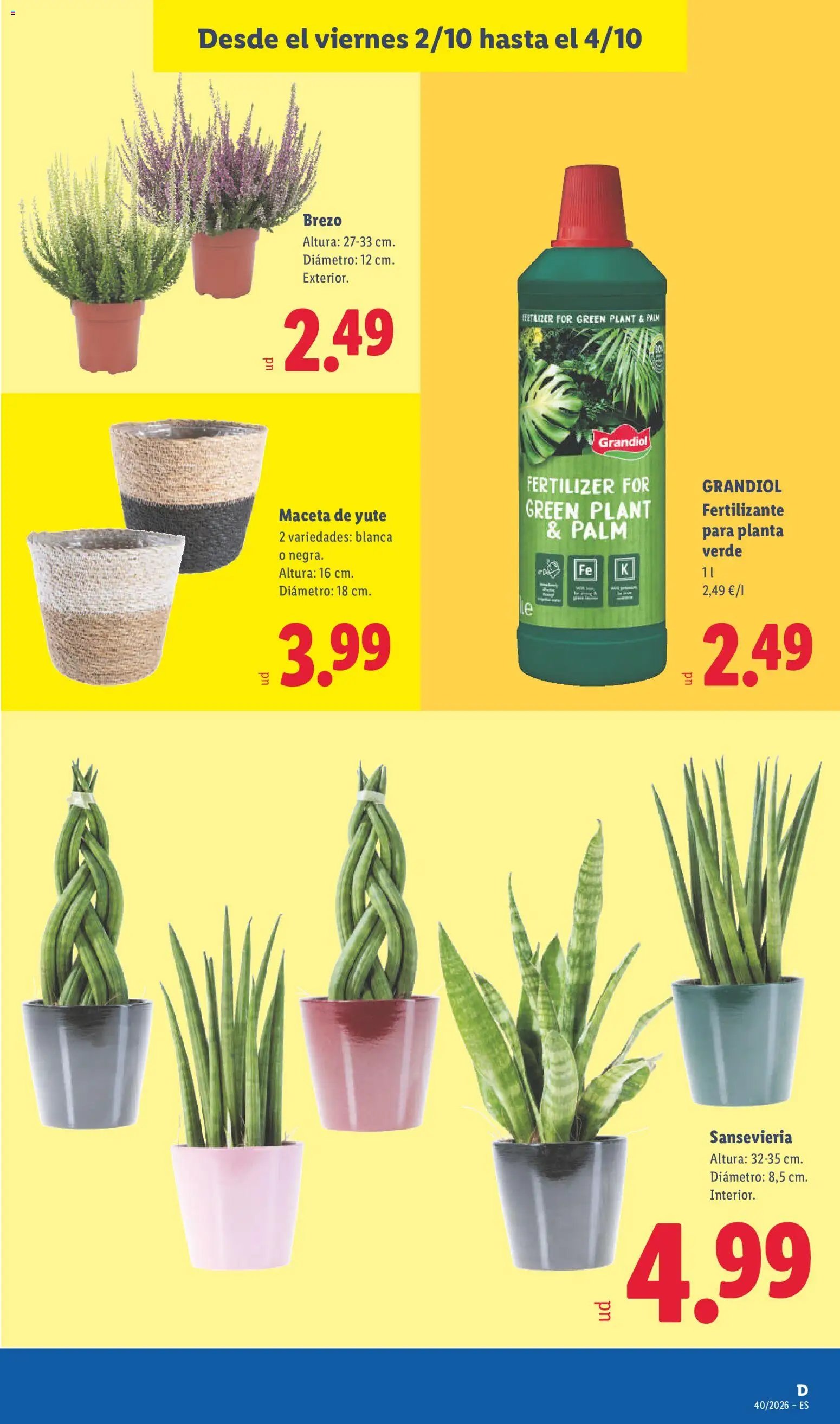 Lidl folleto