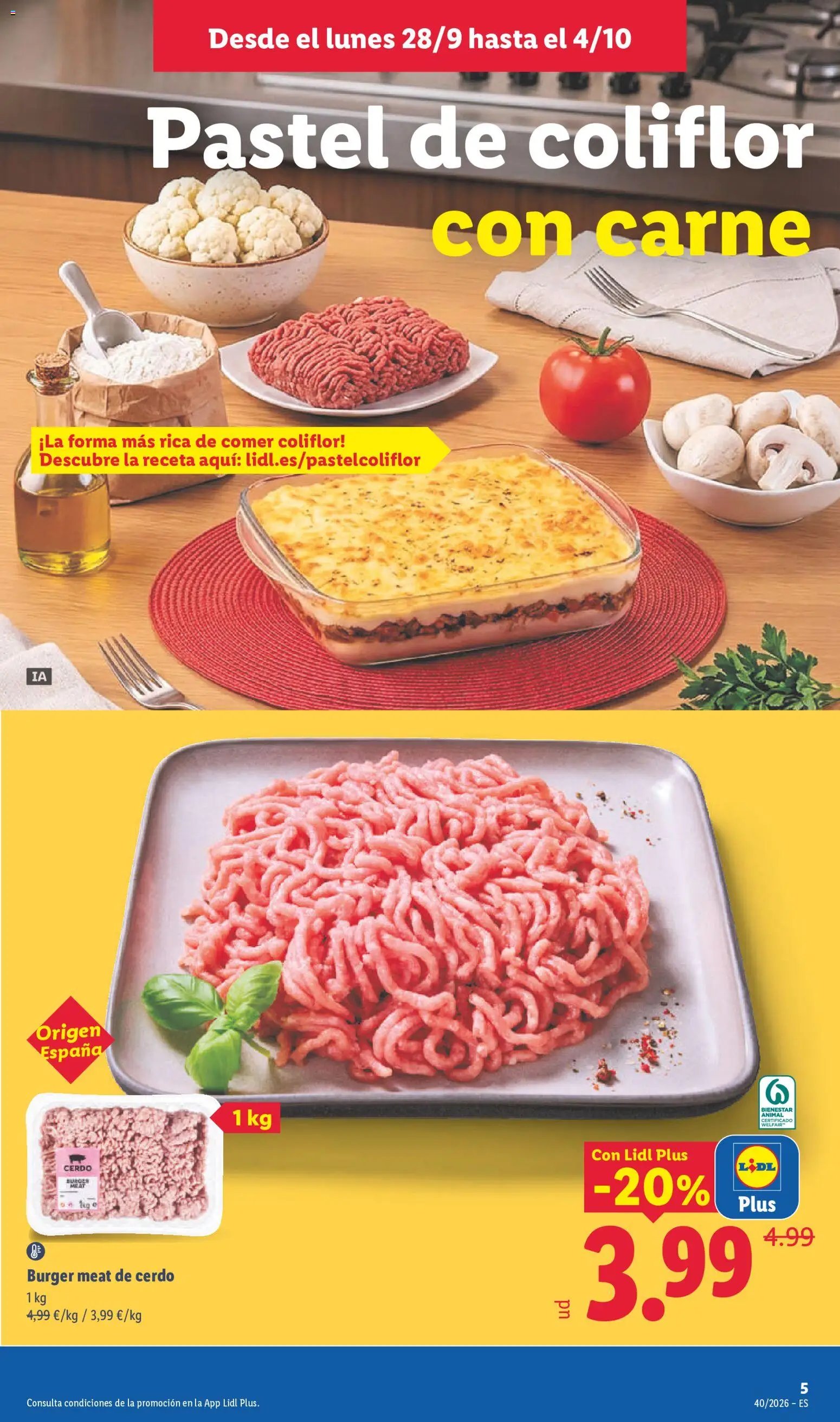 Lidl folleto