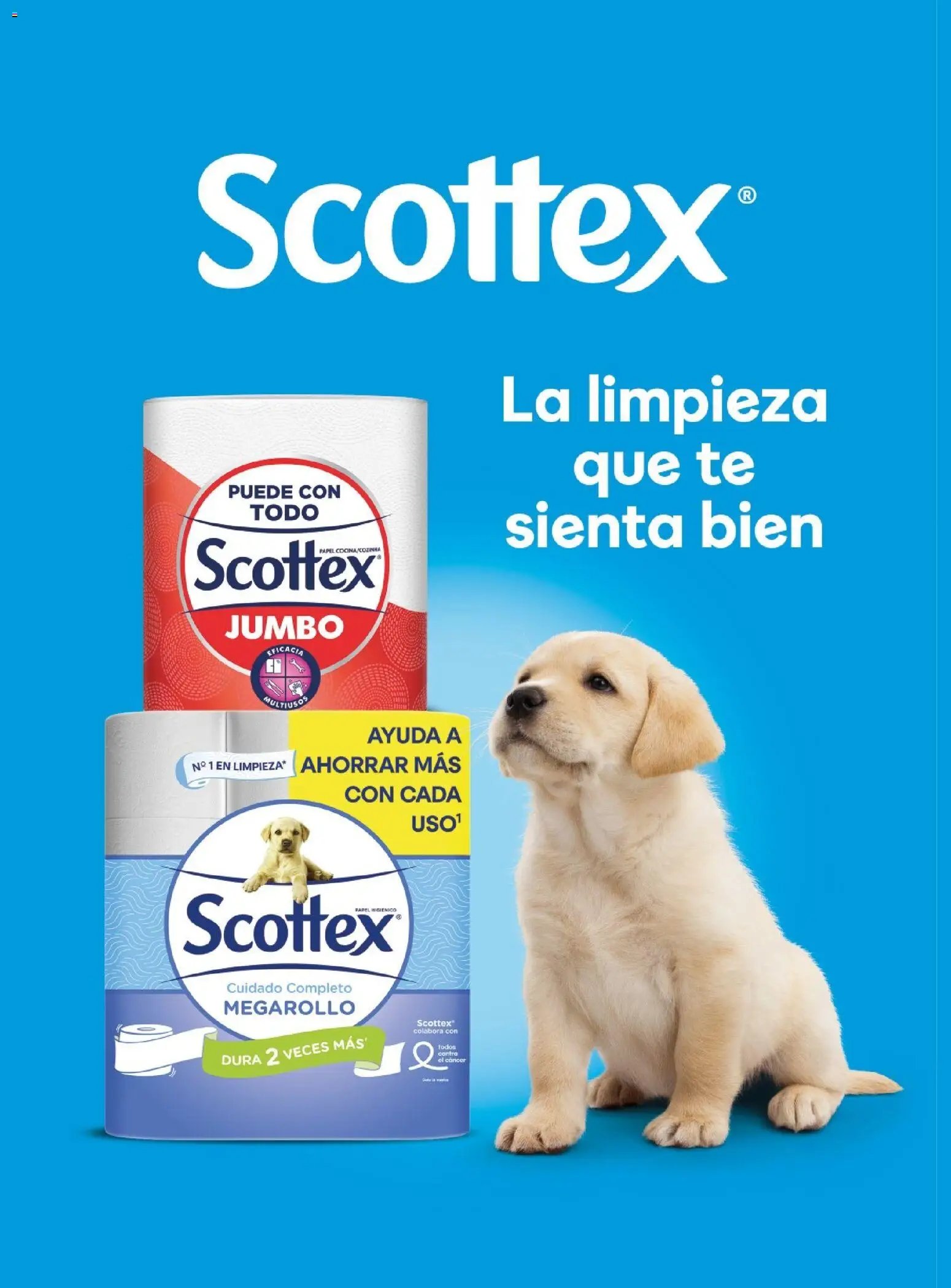 Costco catálogo