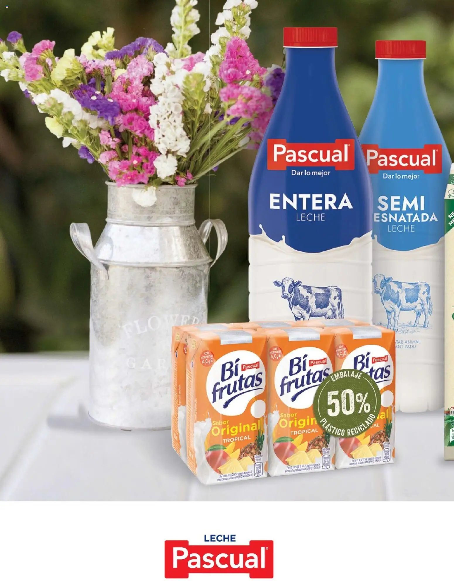 Costco catálogo