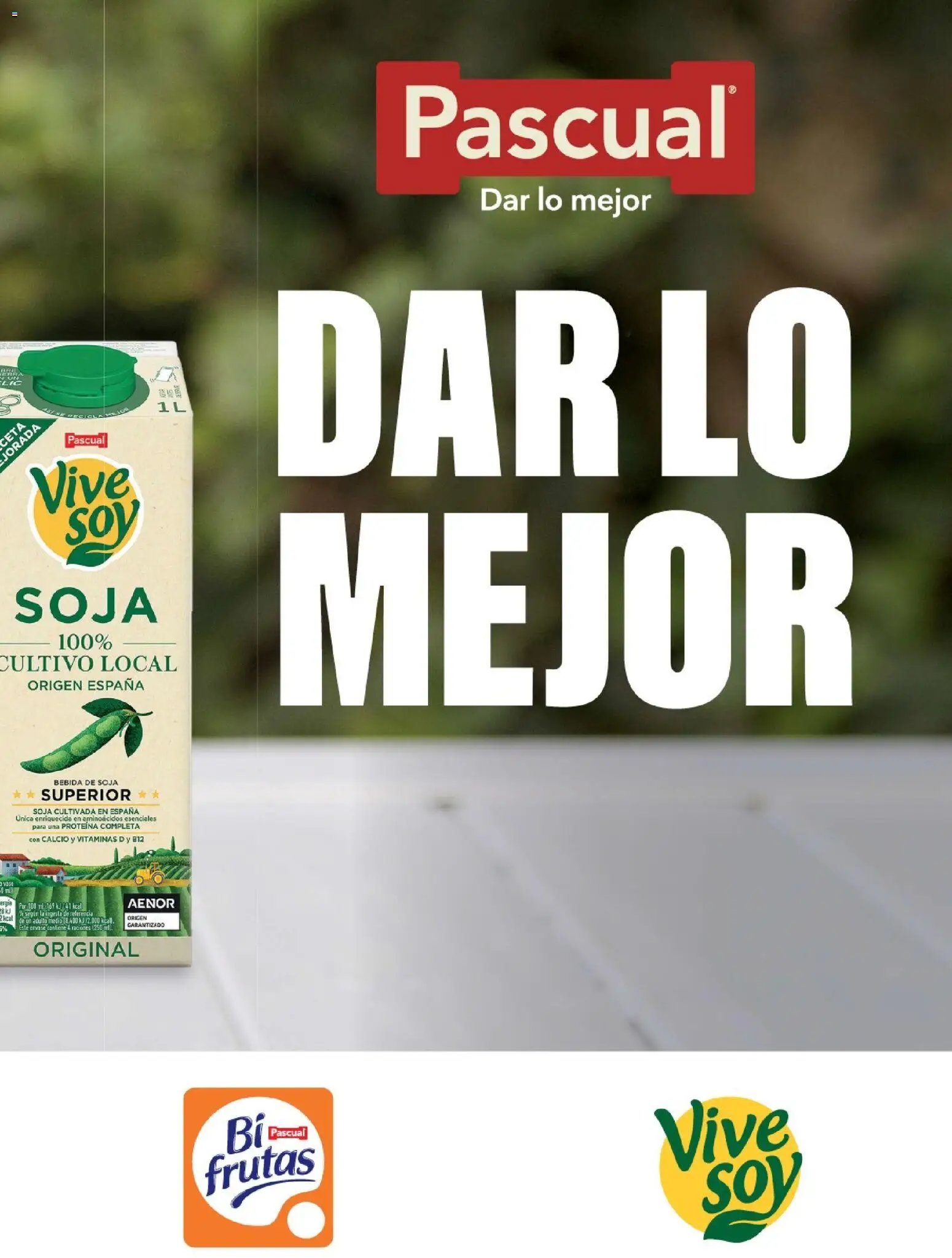 Costco catálogo