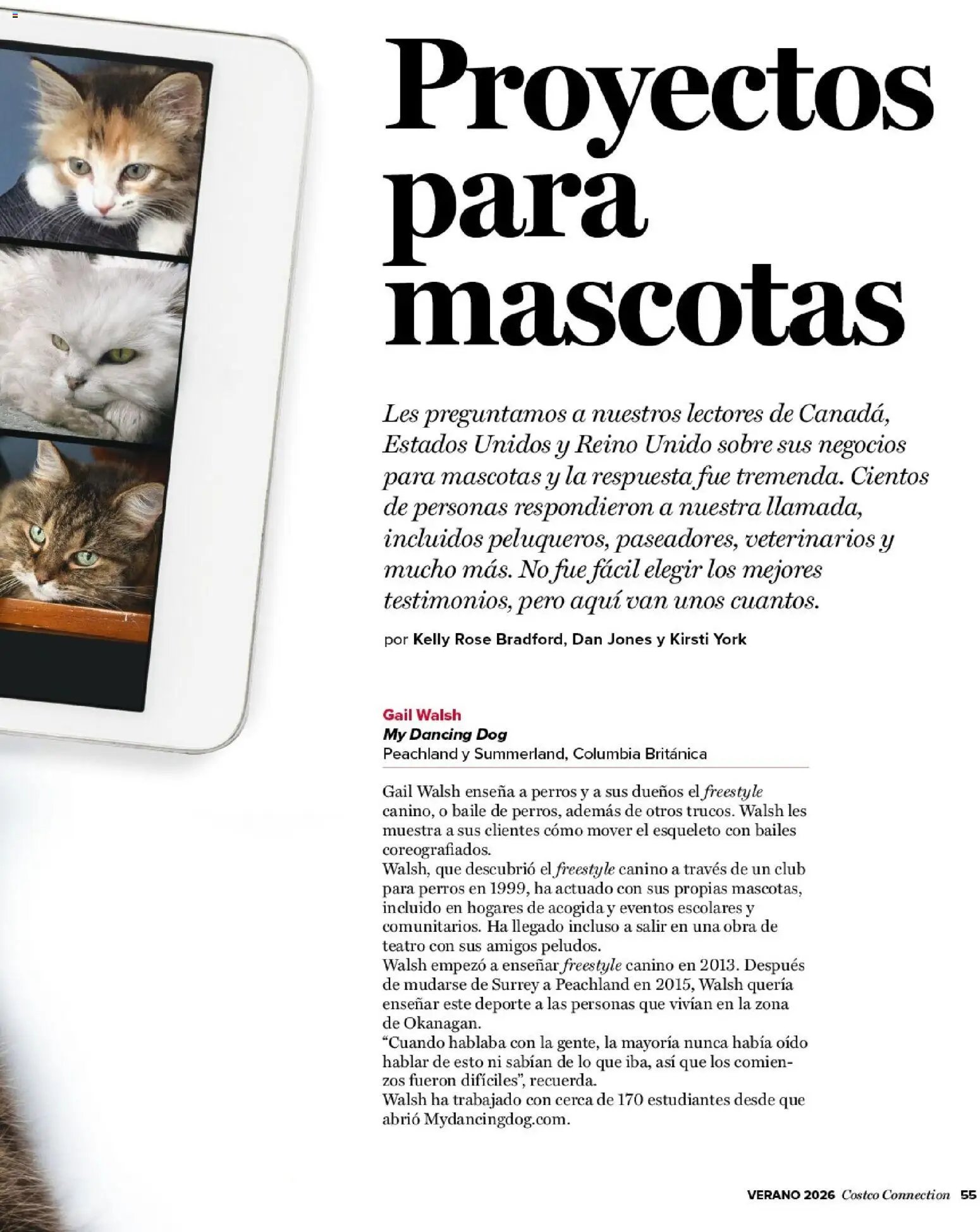 Costco catálogo