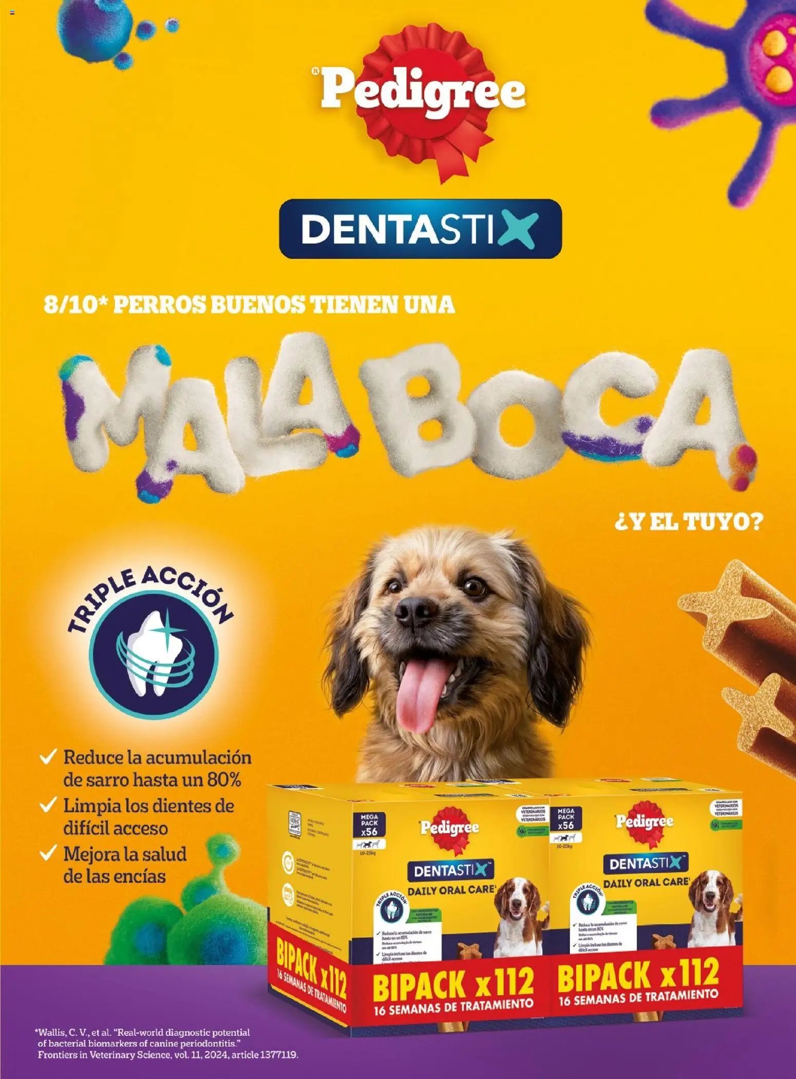 Costco catálogo
