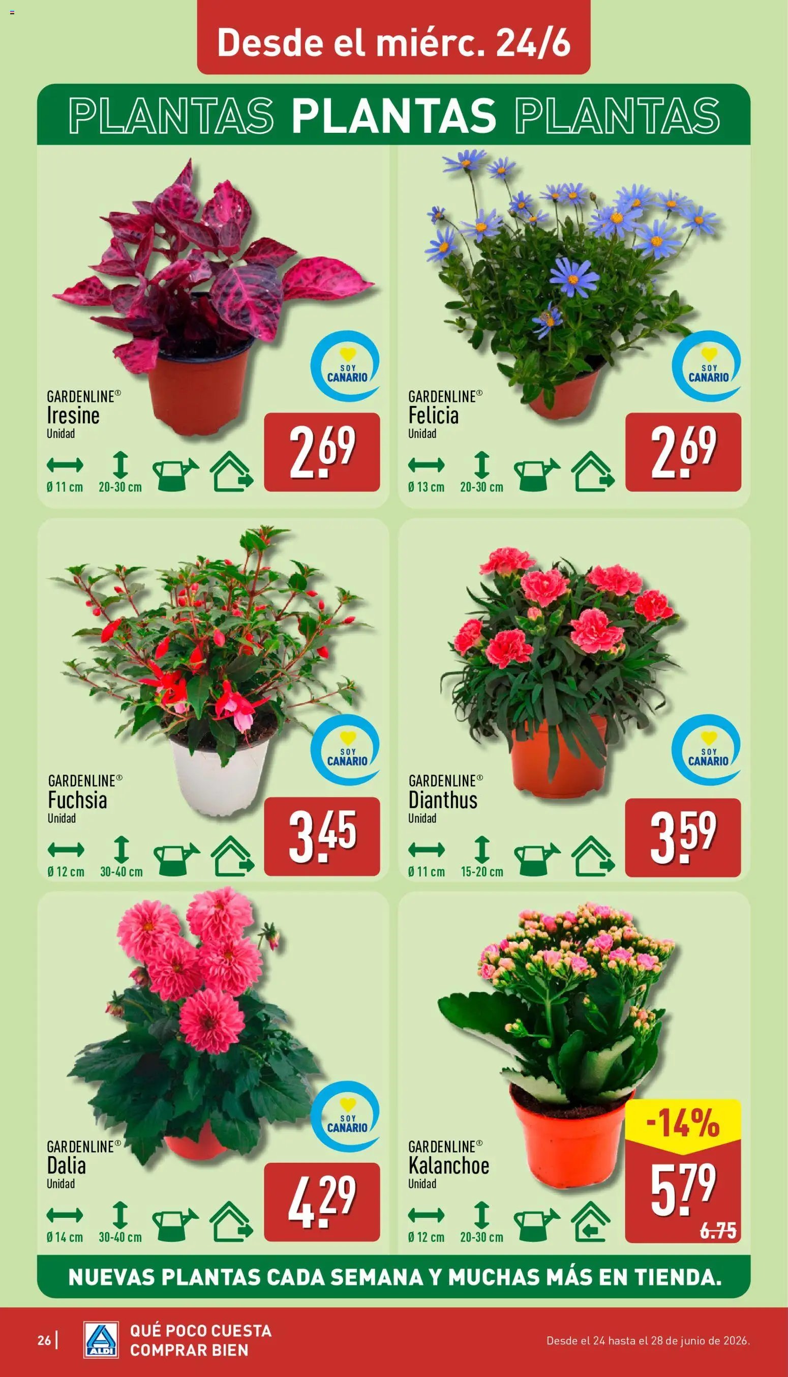 Aldi folleto Canarias