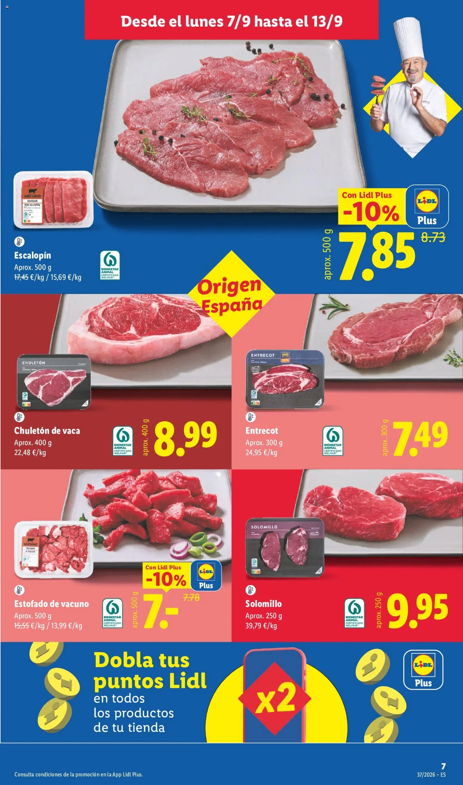 Lidl folleto