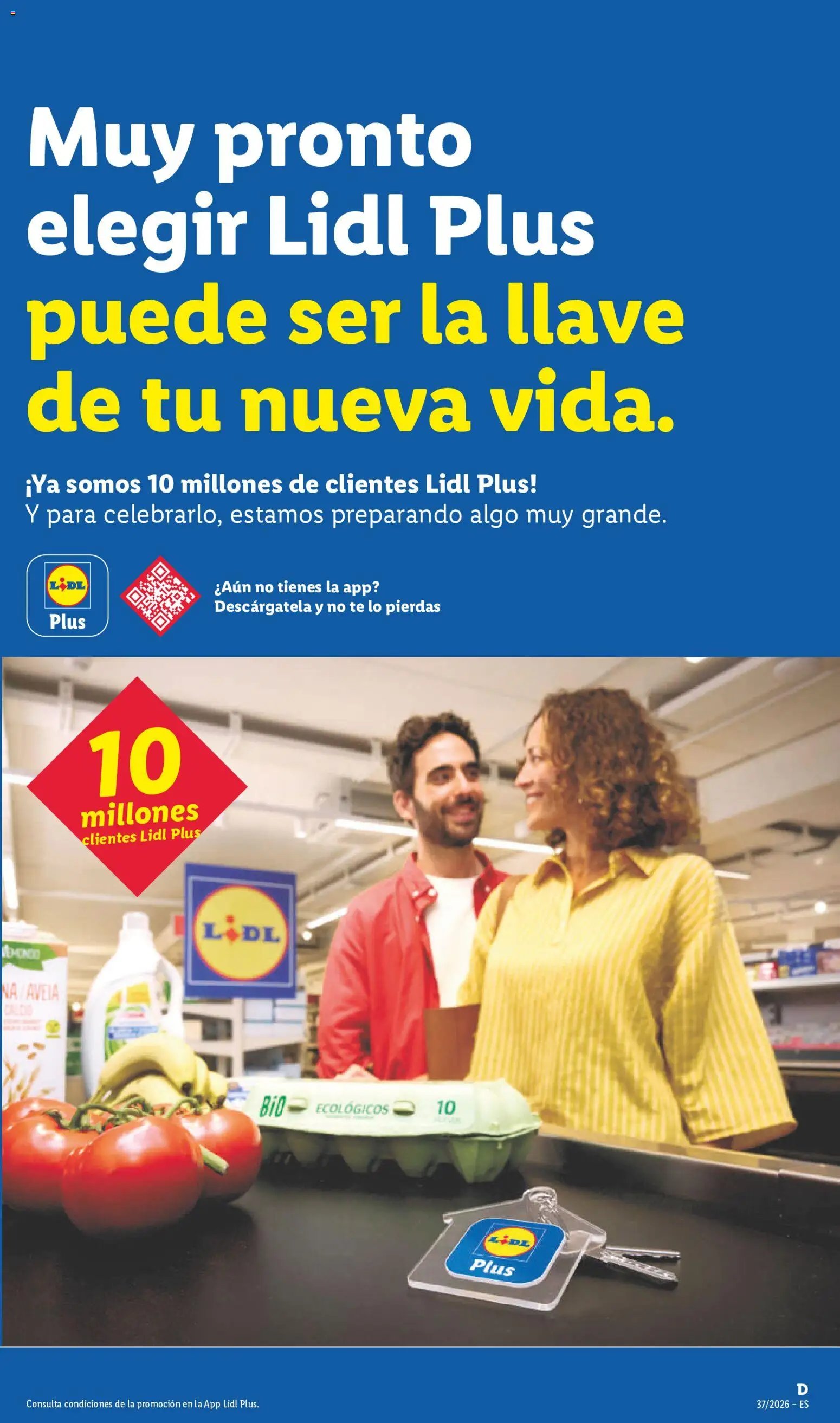 Lidl folleto