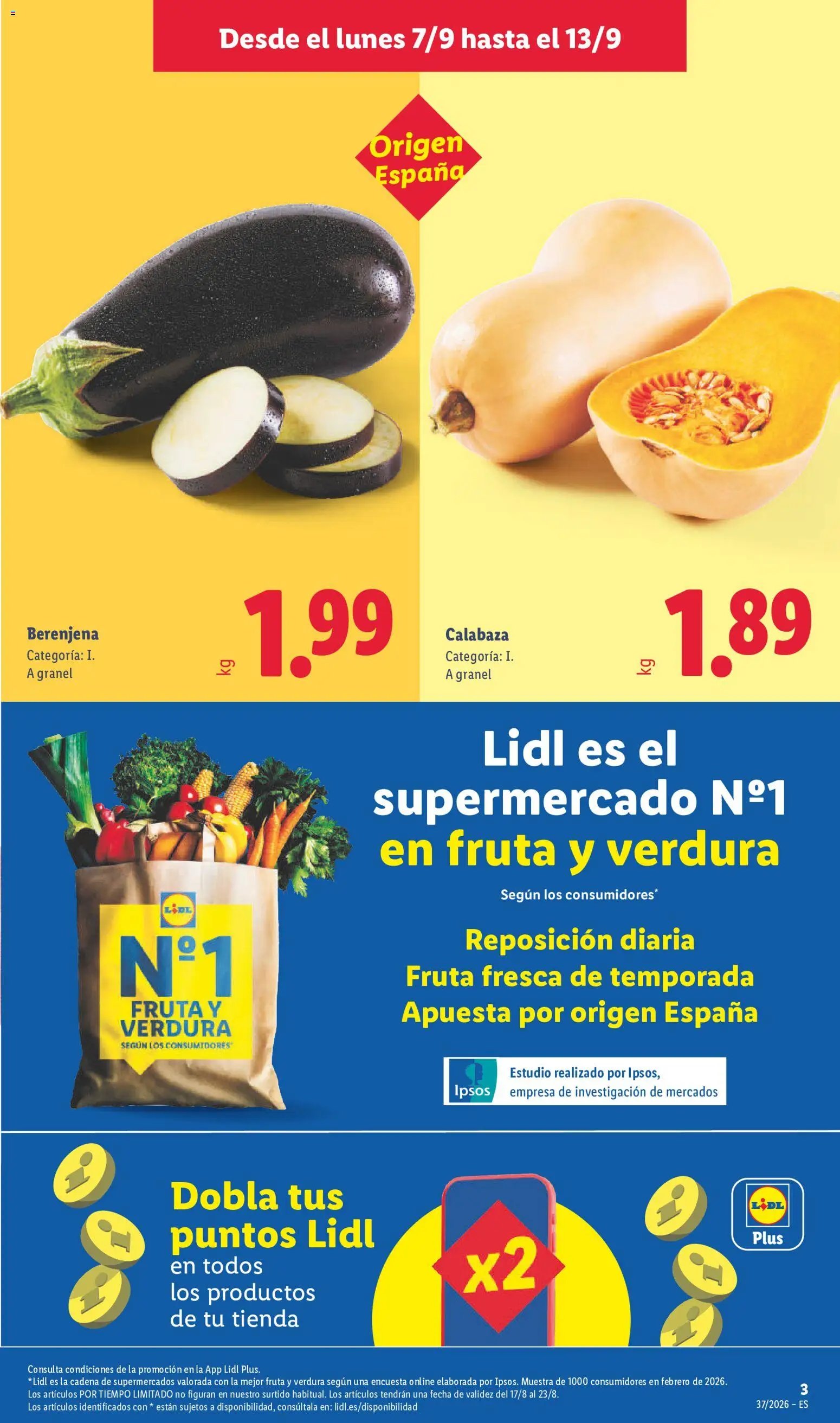 Lidl folleto