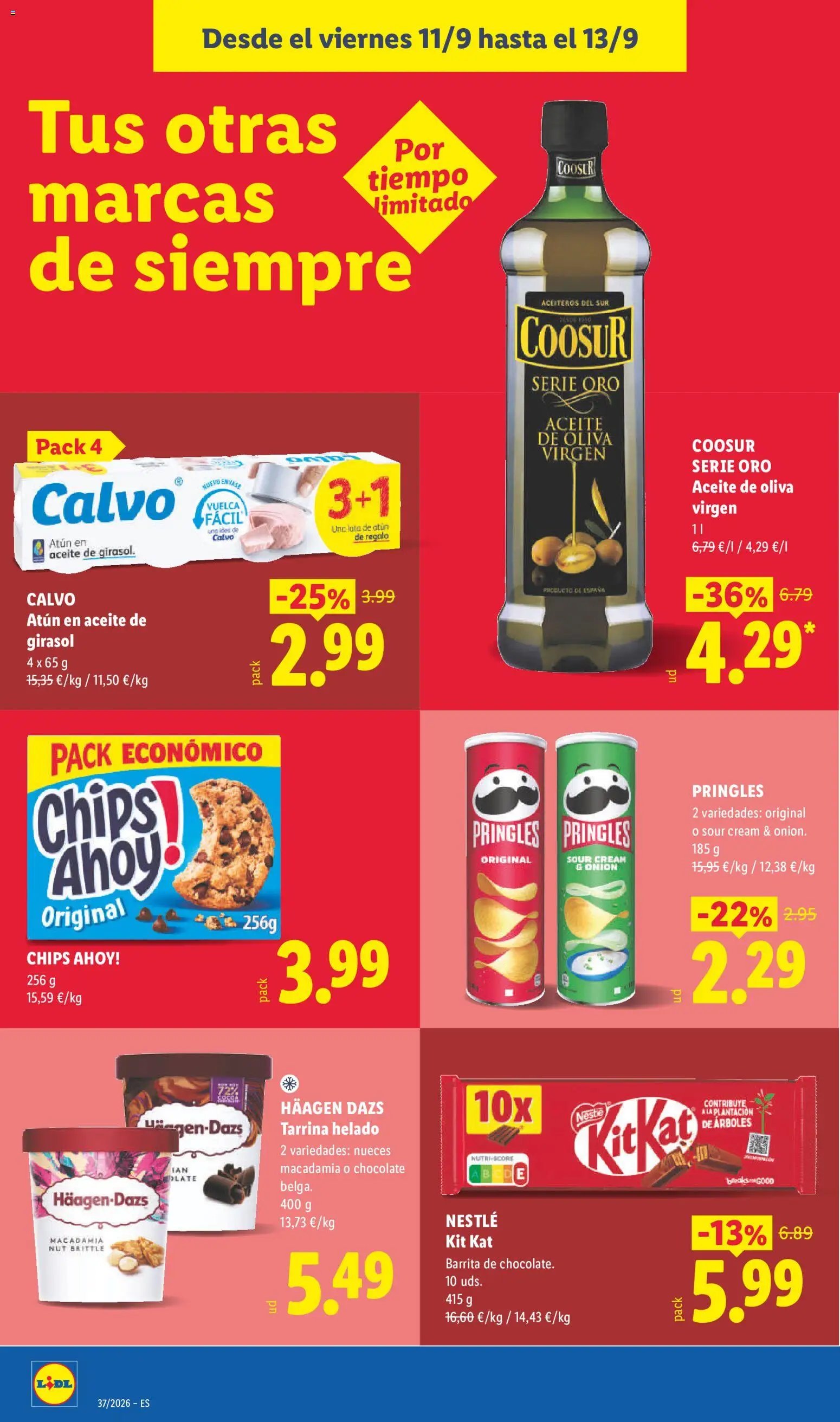 Lidl folleto