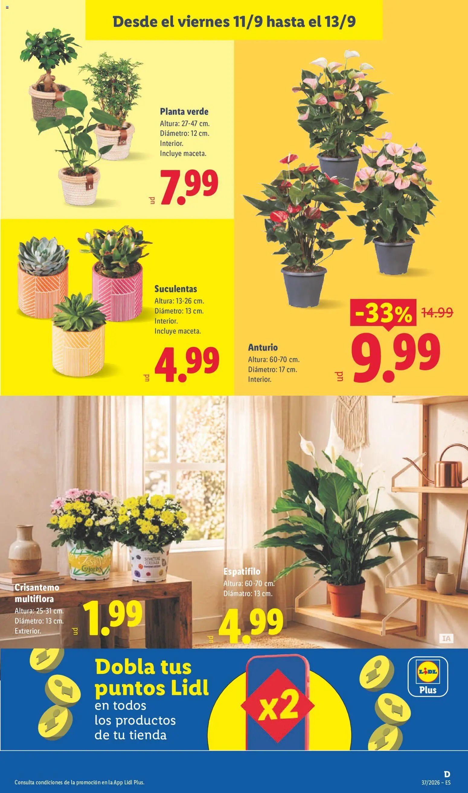 Lidl folleto