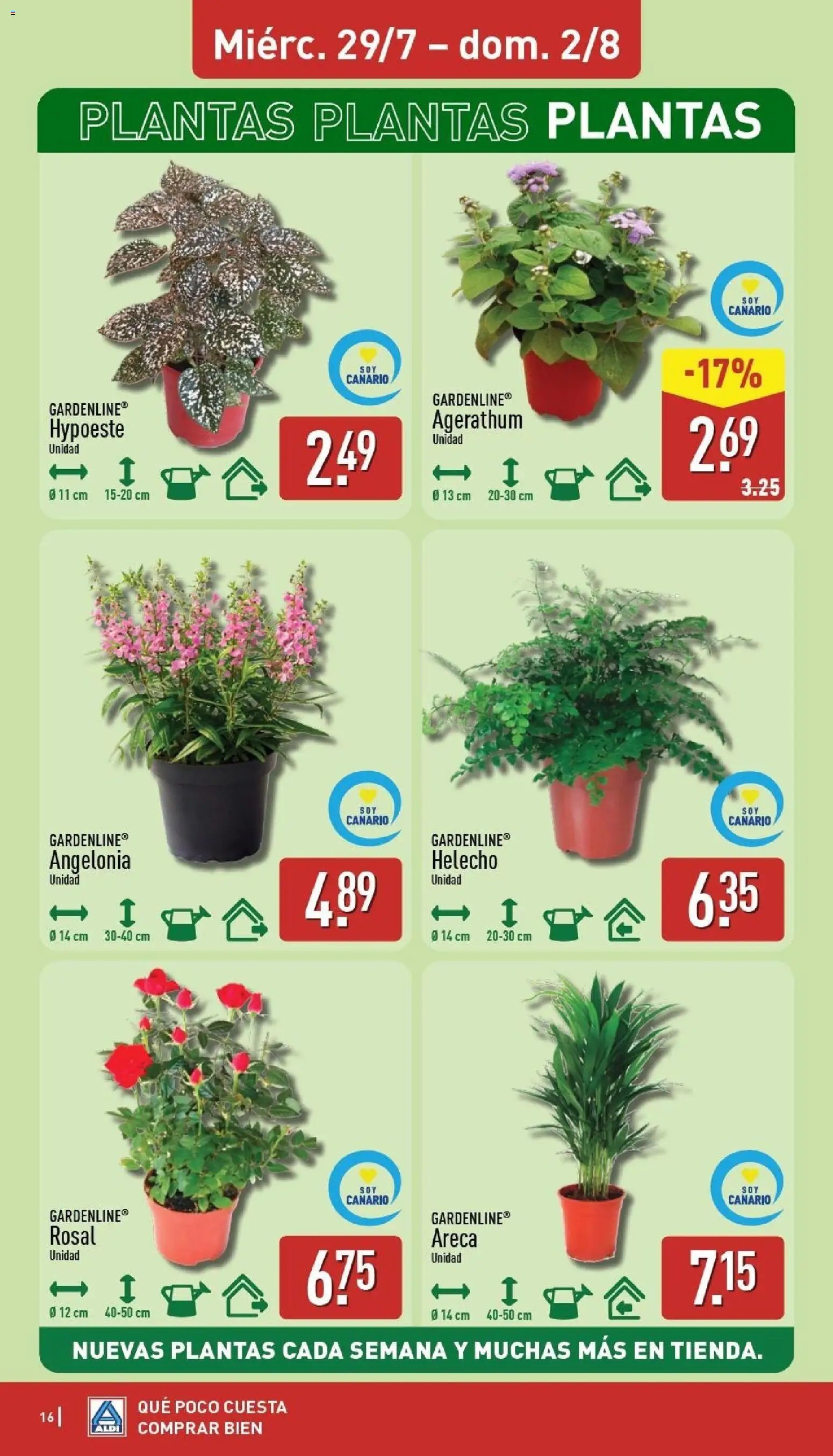 Aldi folleto Canarias