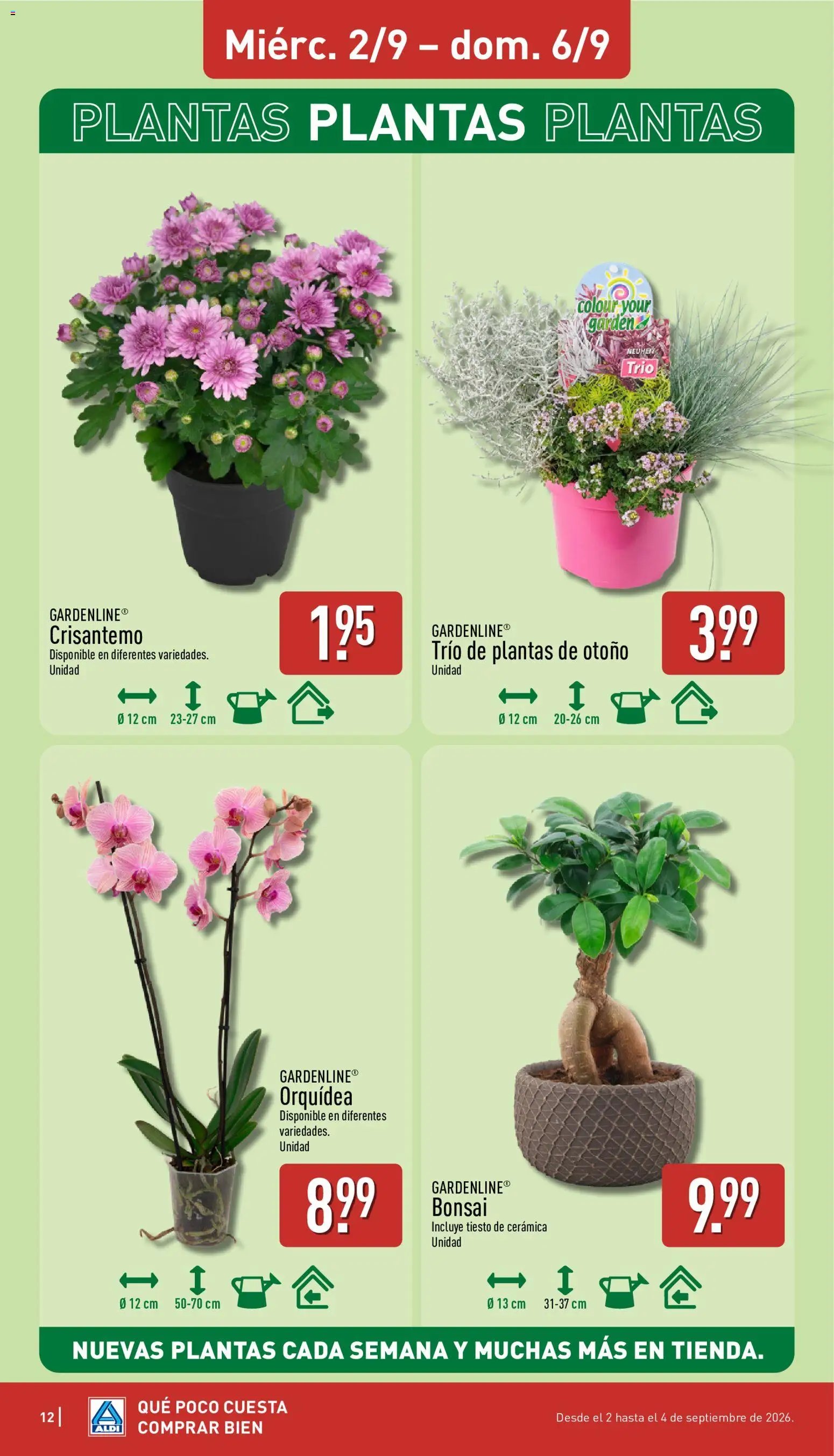 Aldi folleto Baleares