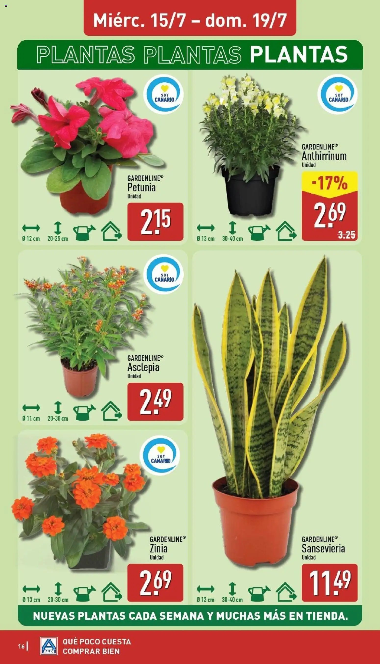 Aldi folleto Canarias