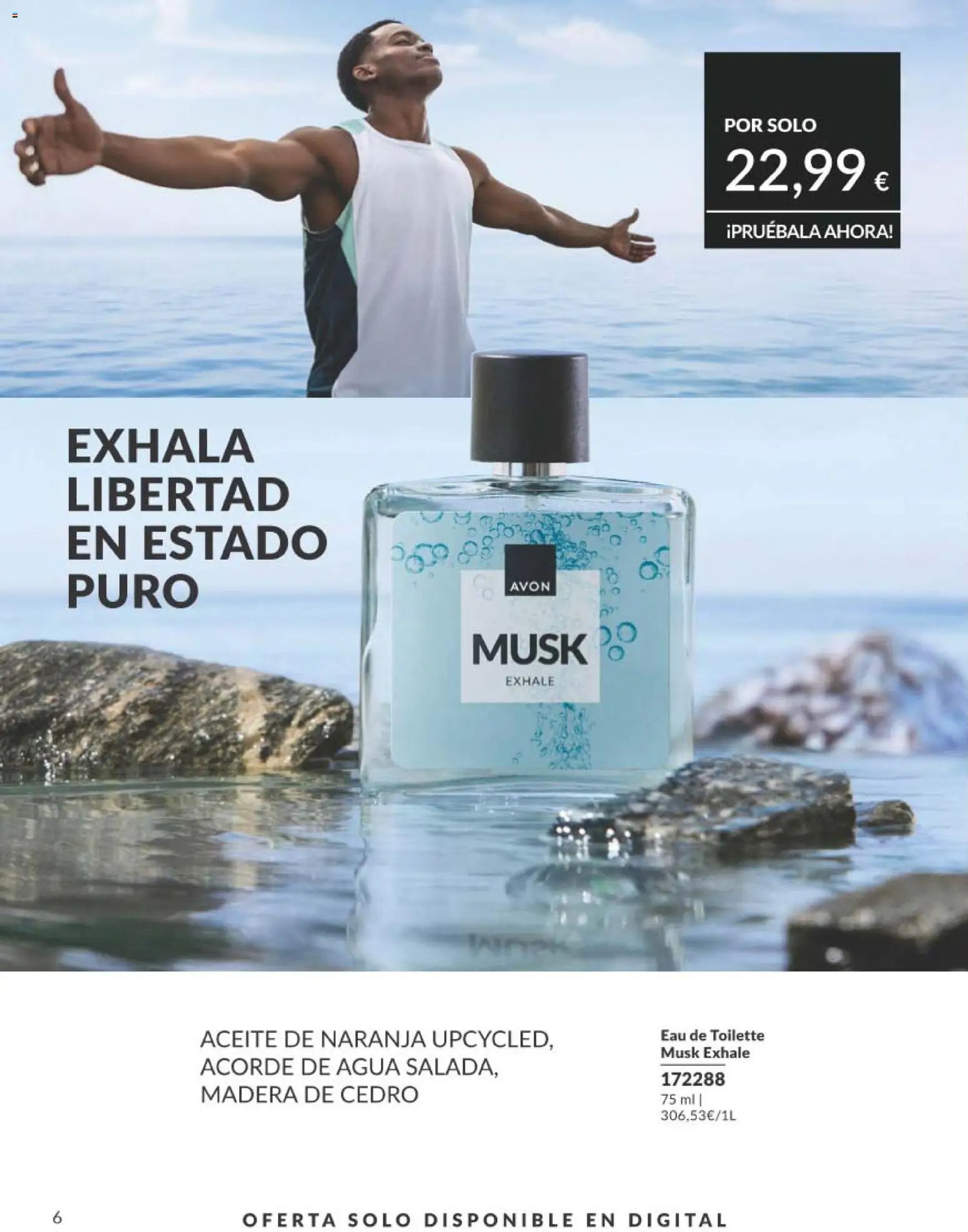 Catálogo AVON campaña 9