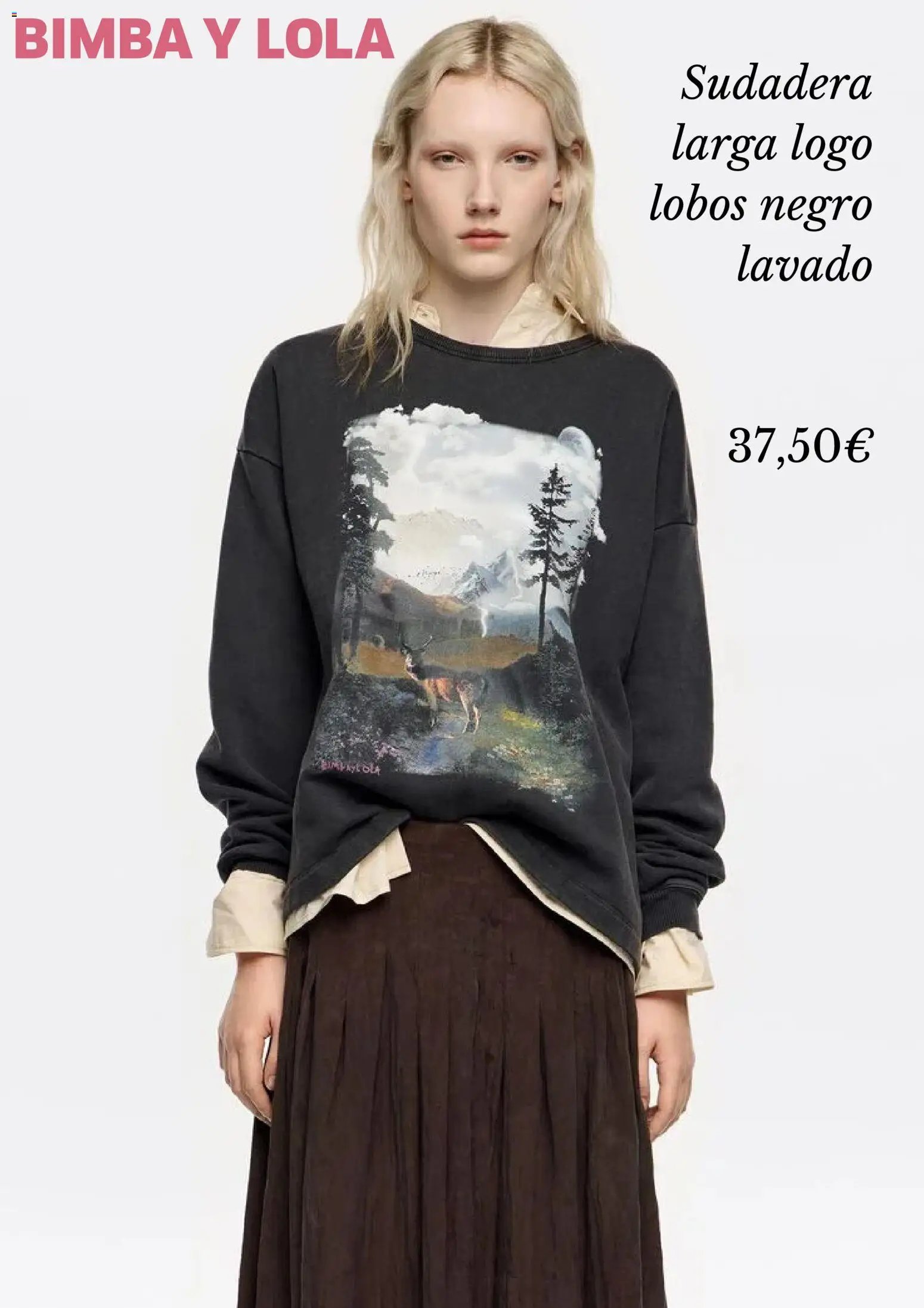 Bimba y Lola folleto