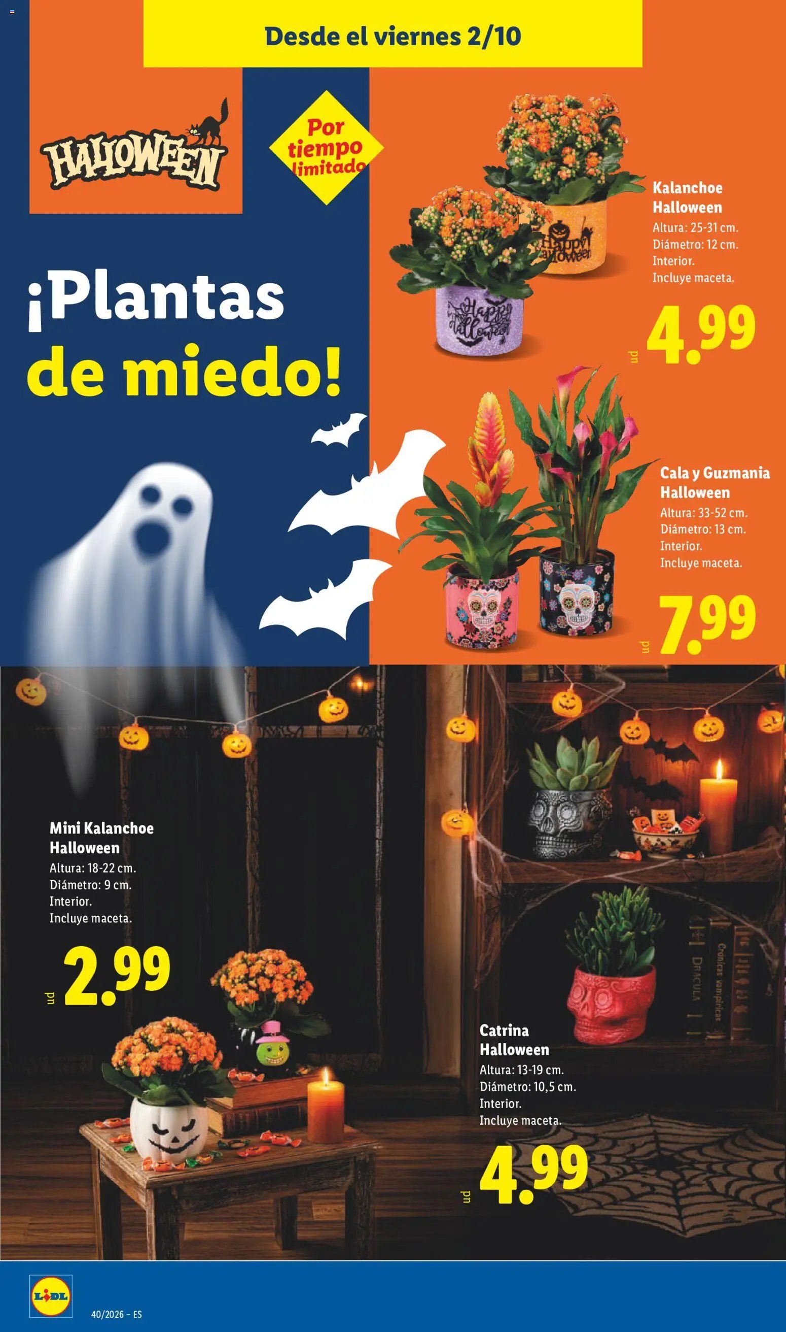 Lidl folleto Halloween