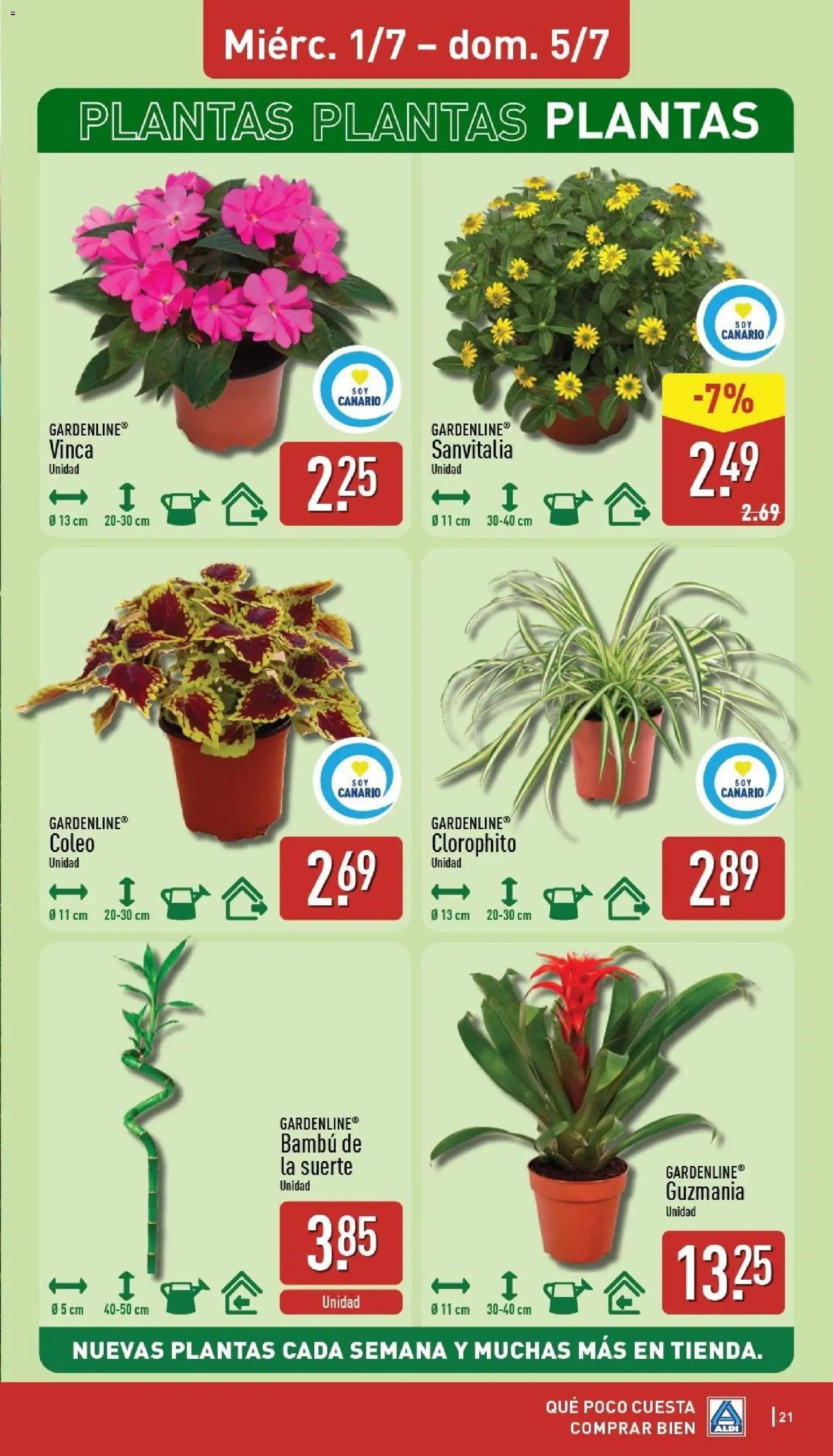 Aldi folleto Canarias
