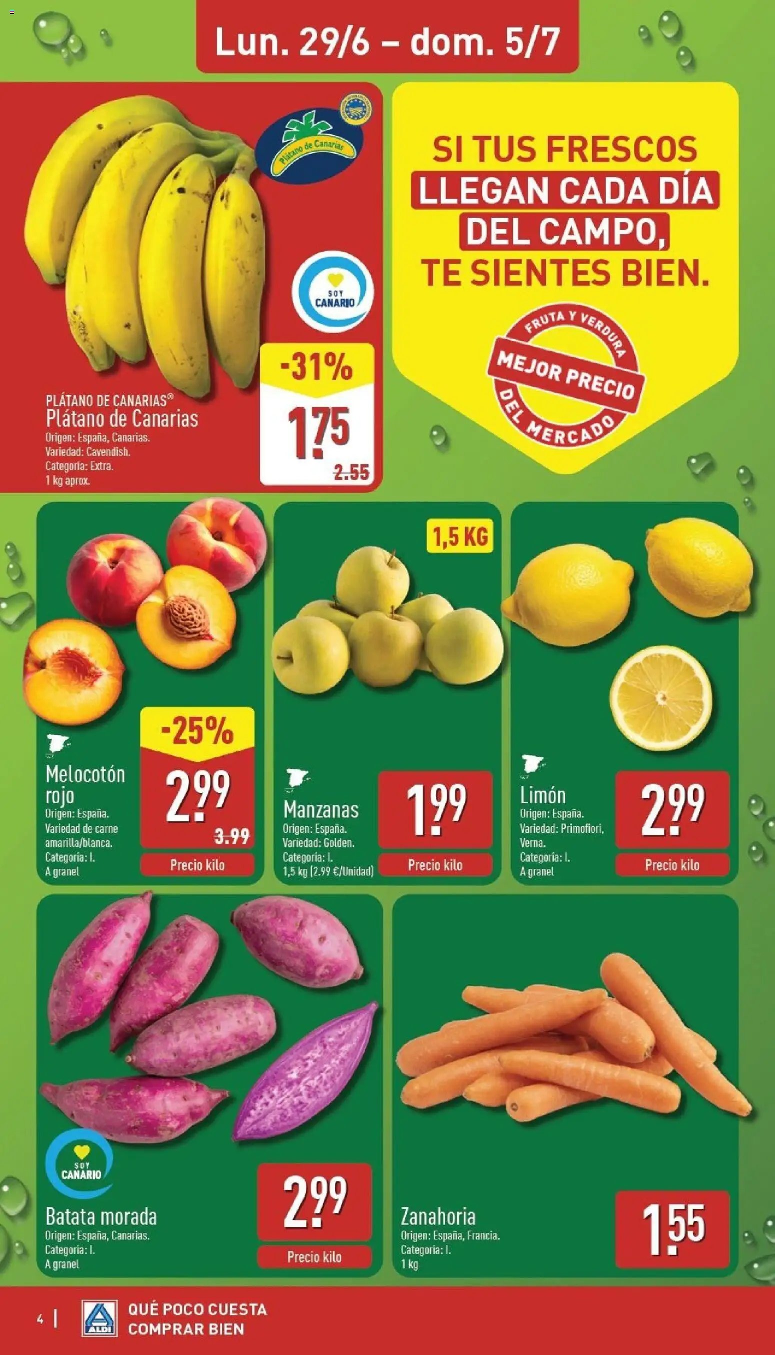 Aldi folleto Canarias