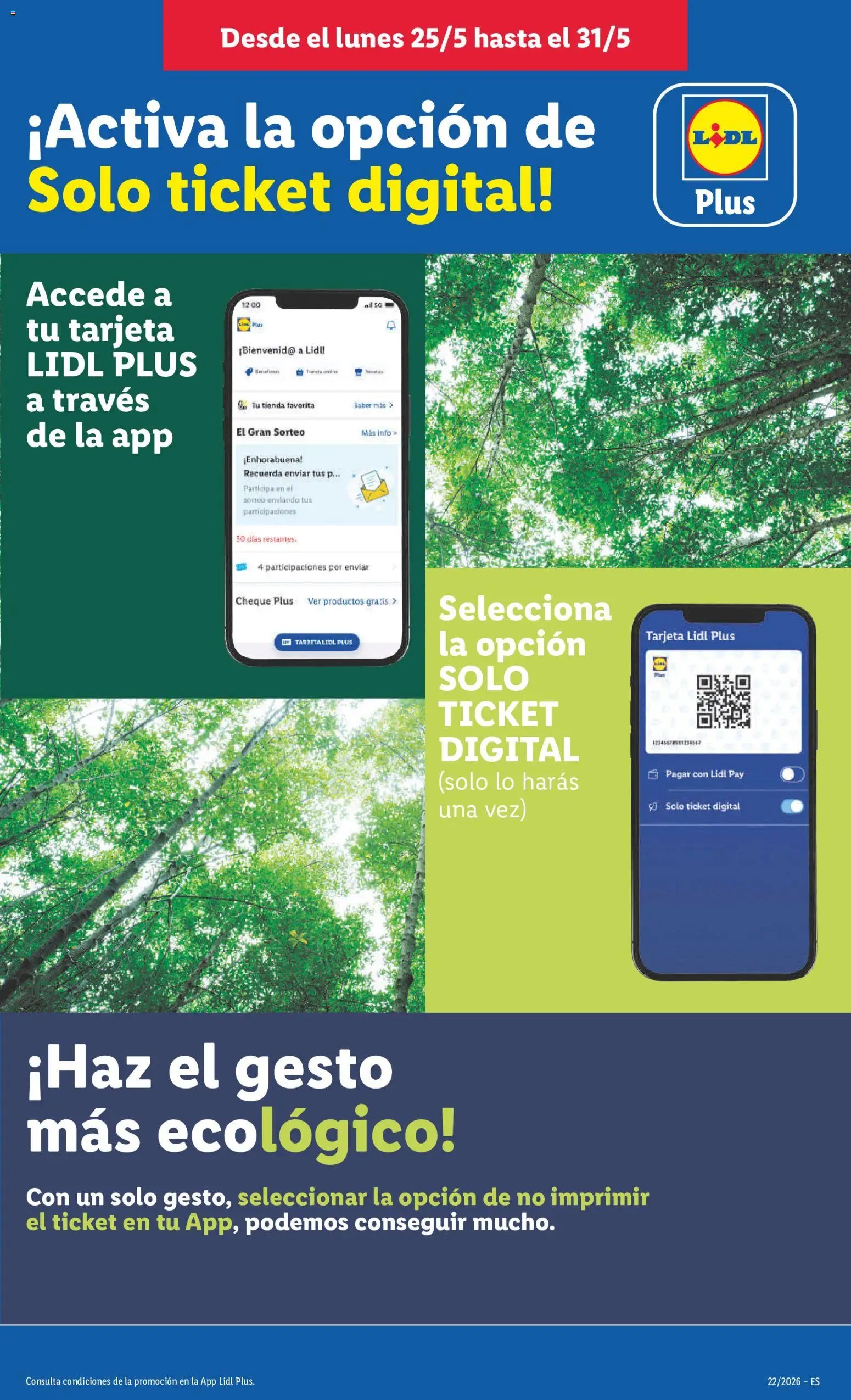 Lidl folleto