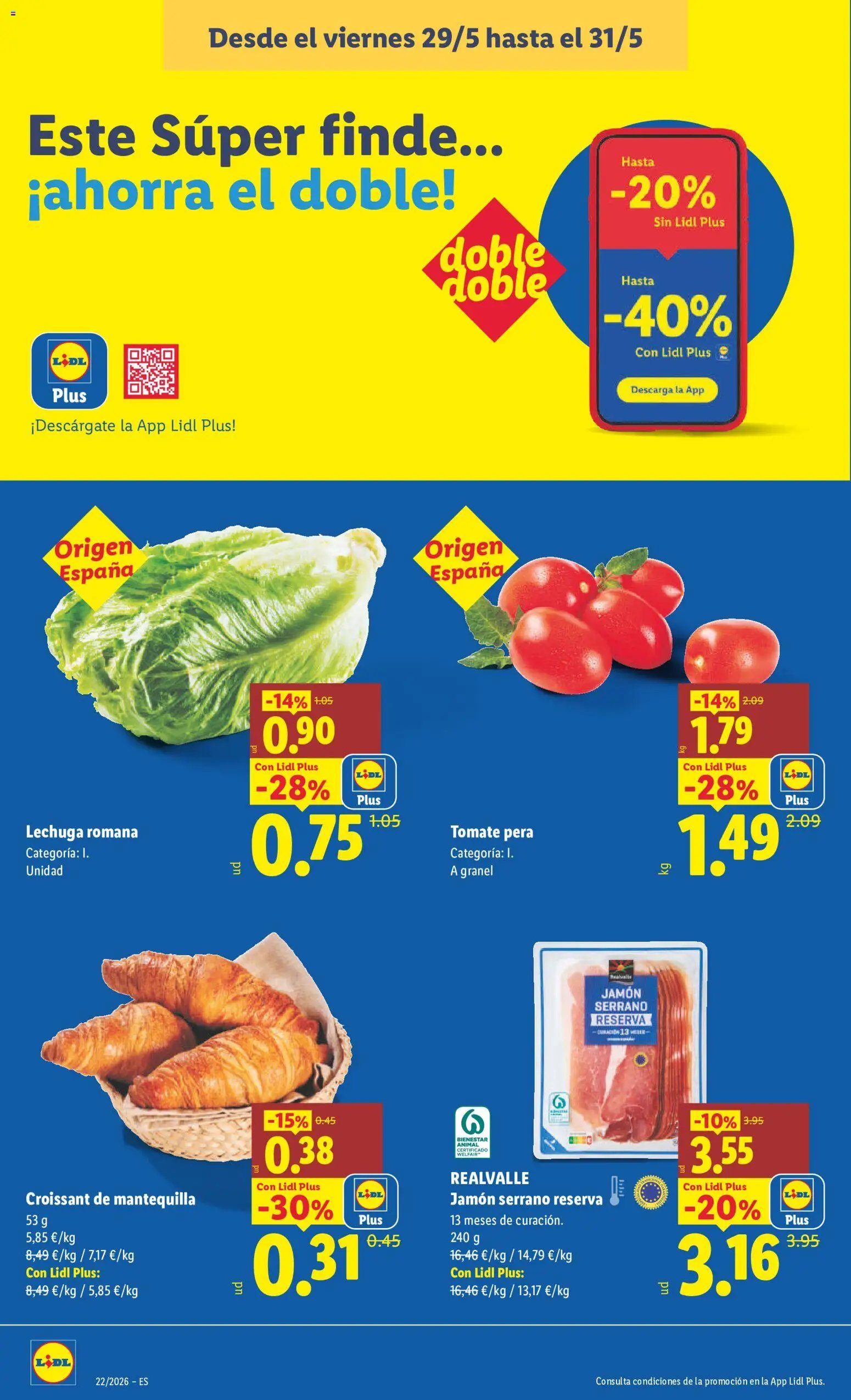 Lidl folleto