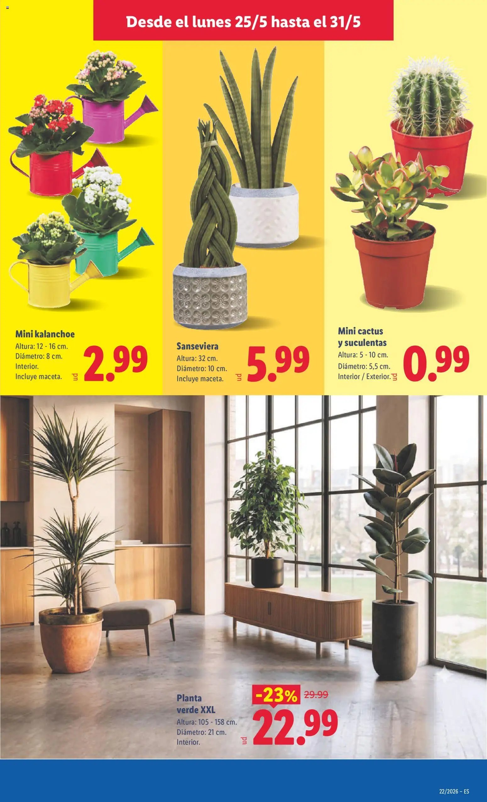 Lidl folleto