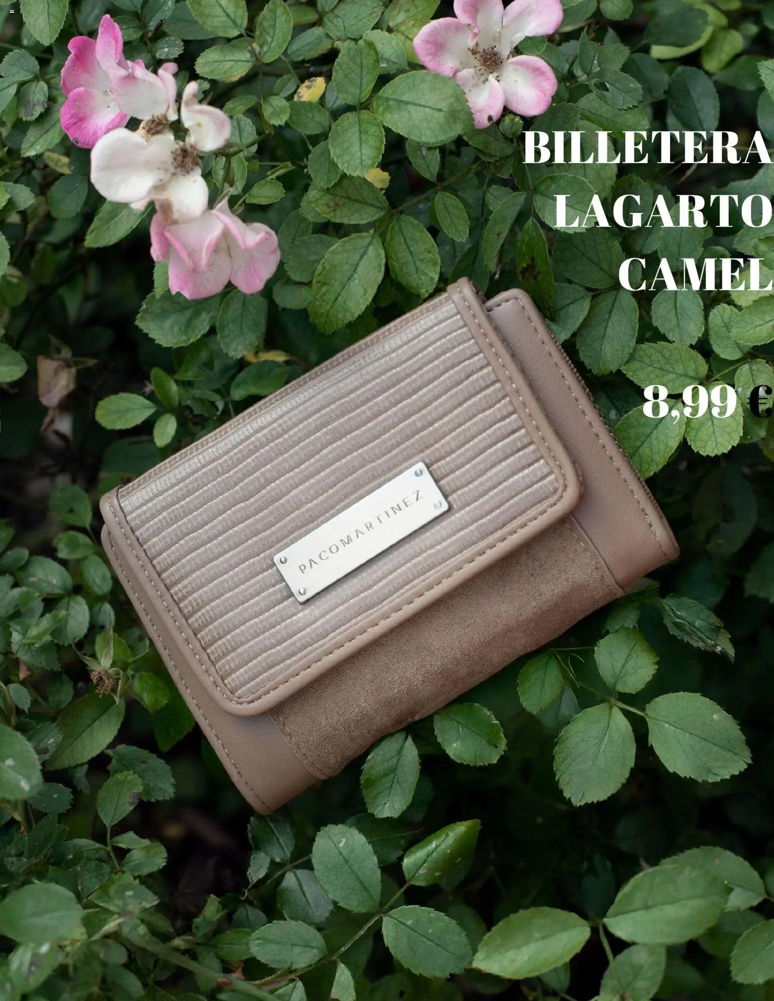 Paco Martinez folleto