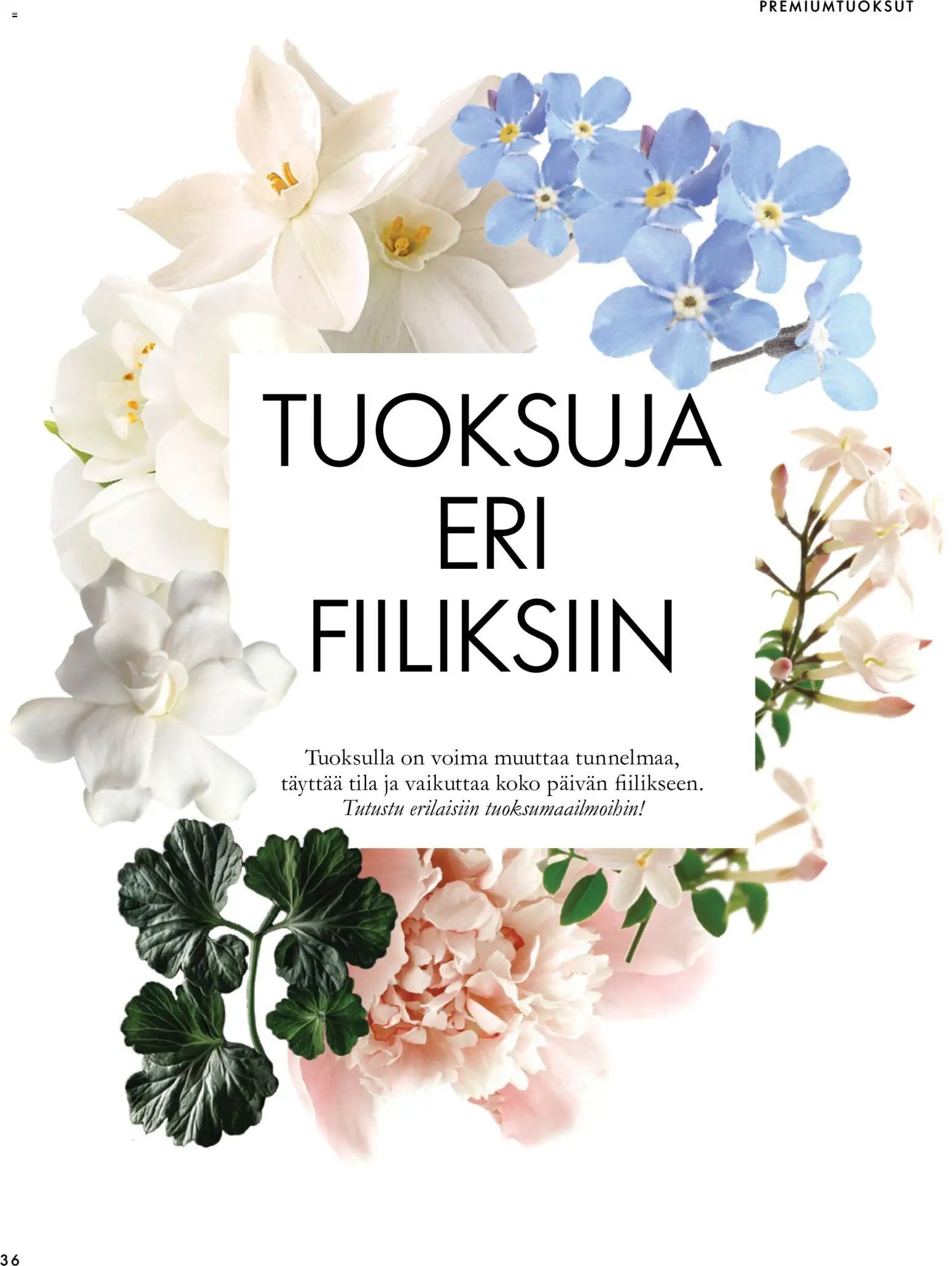 Oriflame tarjoukset