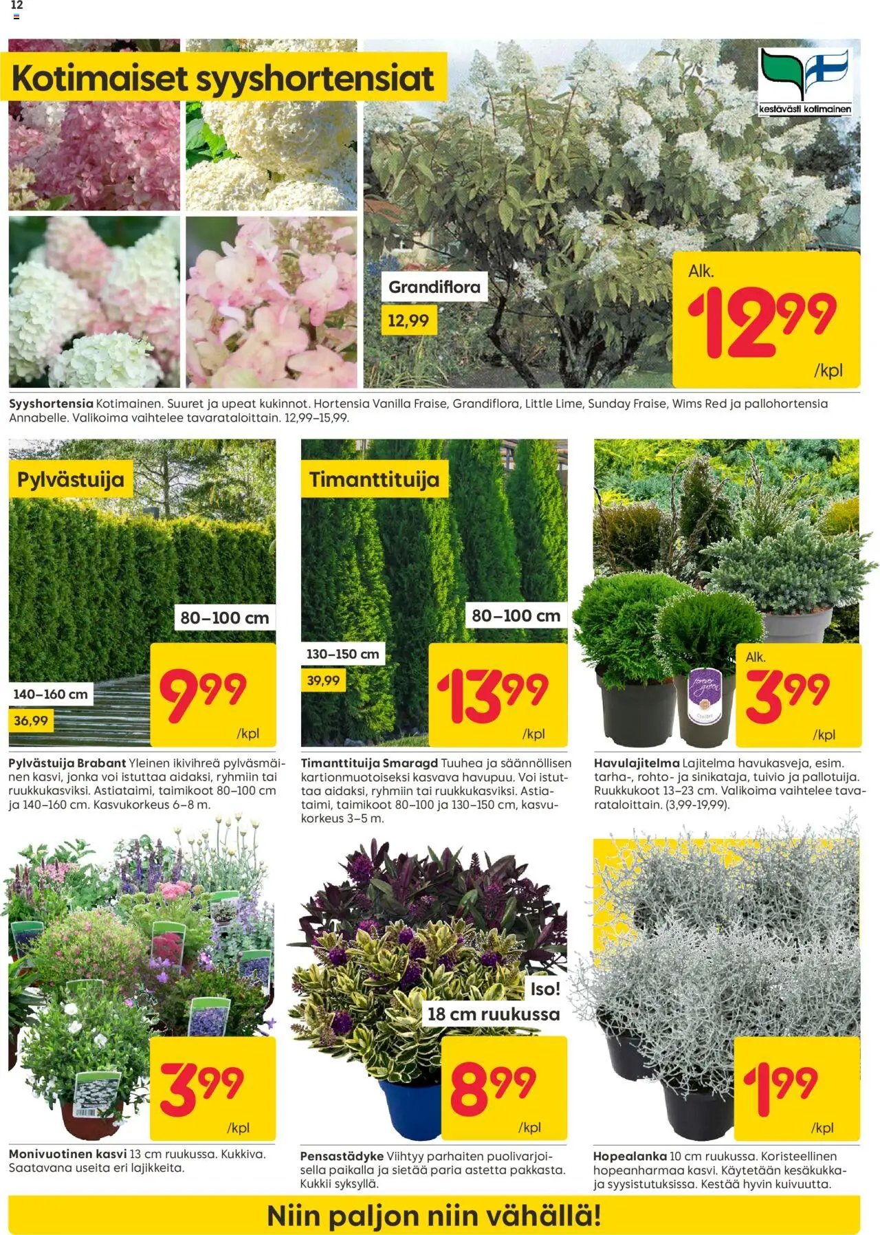 Rusta tarjoukset (2025-08-18 - 2025-08-24)