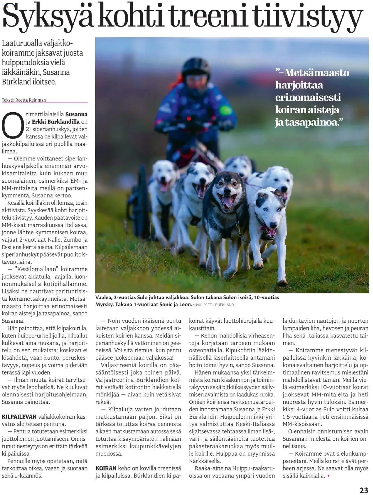 Kärkkäinen - KauppaSuomi - Pohjoinen painos (2025-07-23 - 2025-08-05)