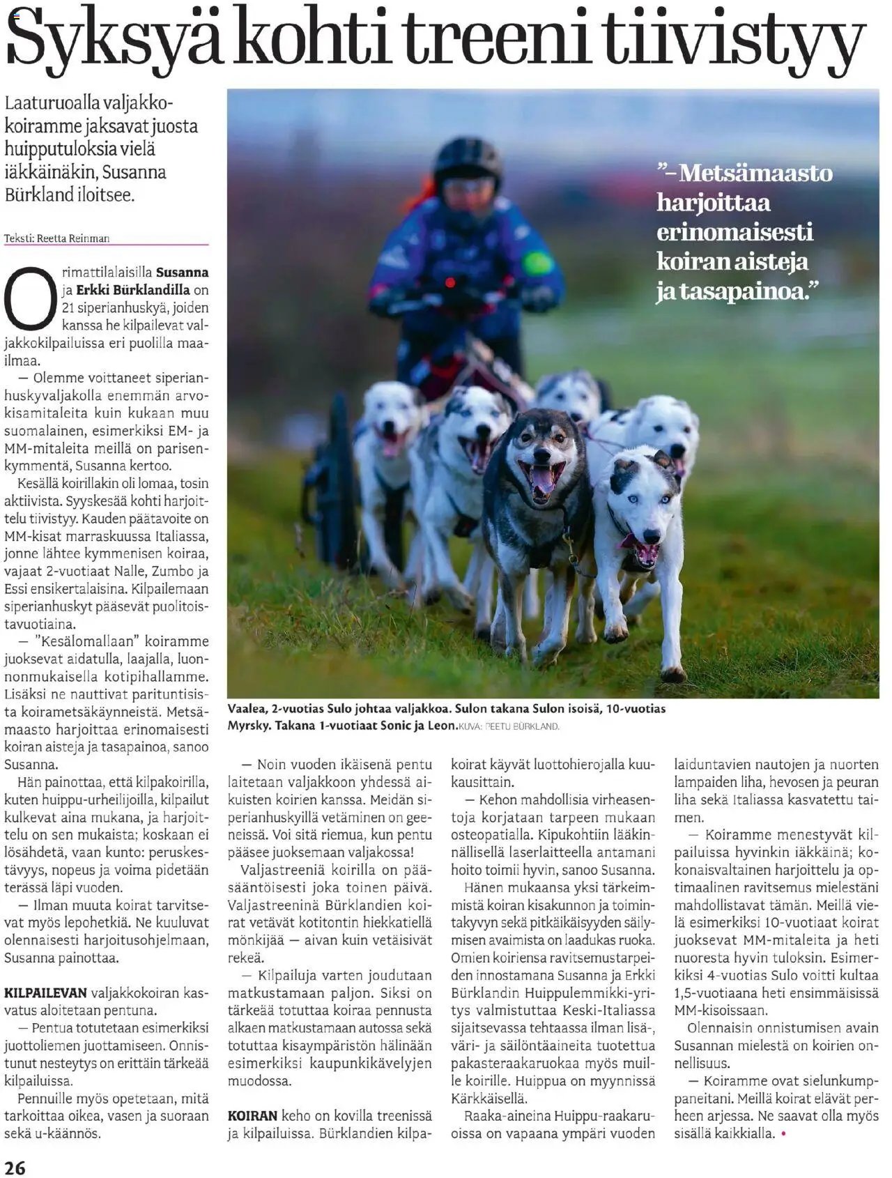 Kärkkäinen - KauppaSuomi Eteläinen painos (2025-07-23 - 2025-08-05)