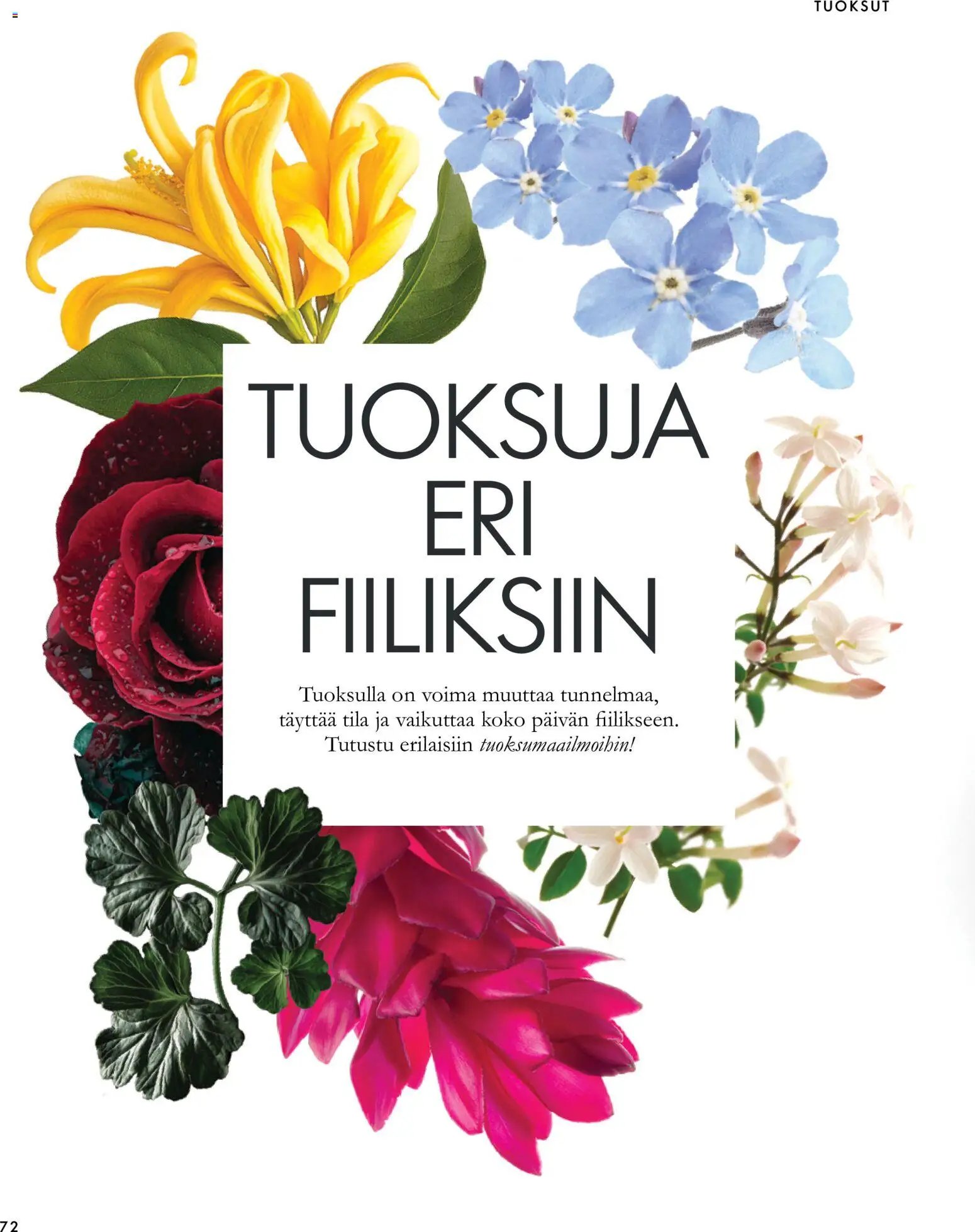 Oriflame tarjoukset
