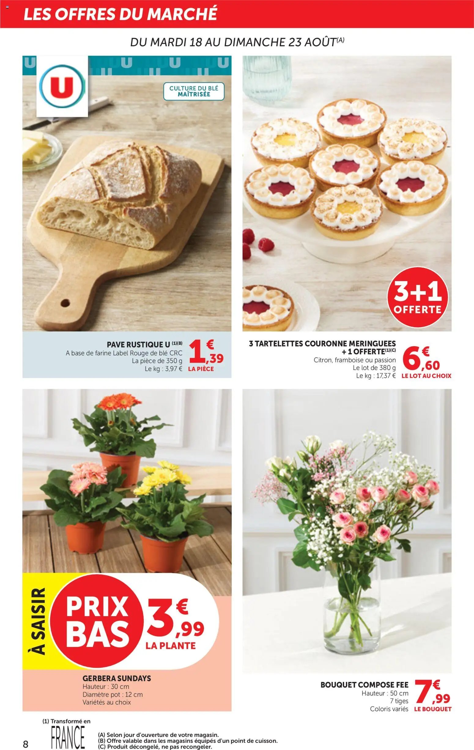 bi1 Catalogue Maxi