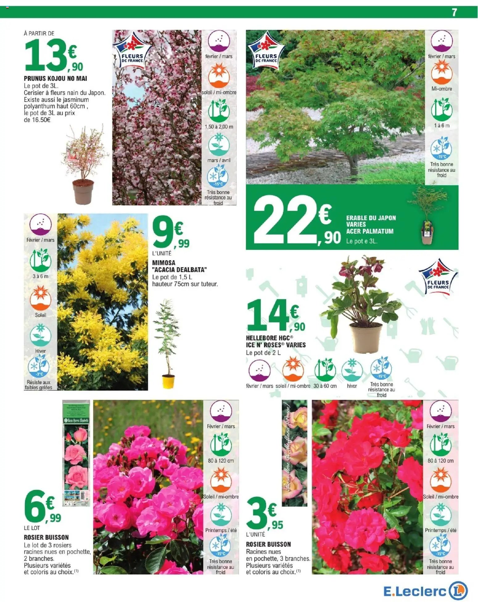 Brico E.Leclerc - Jardin