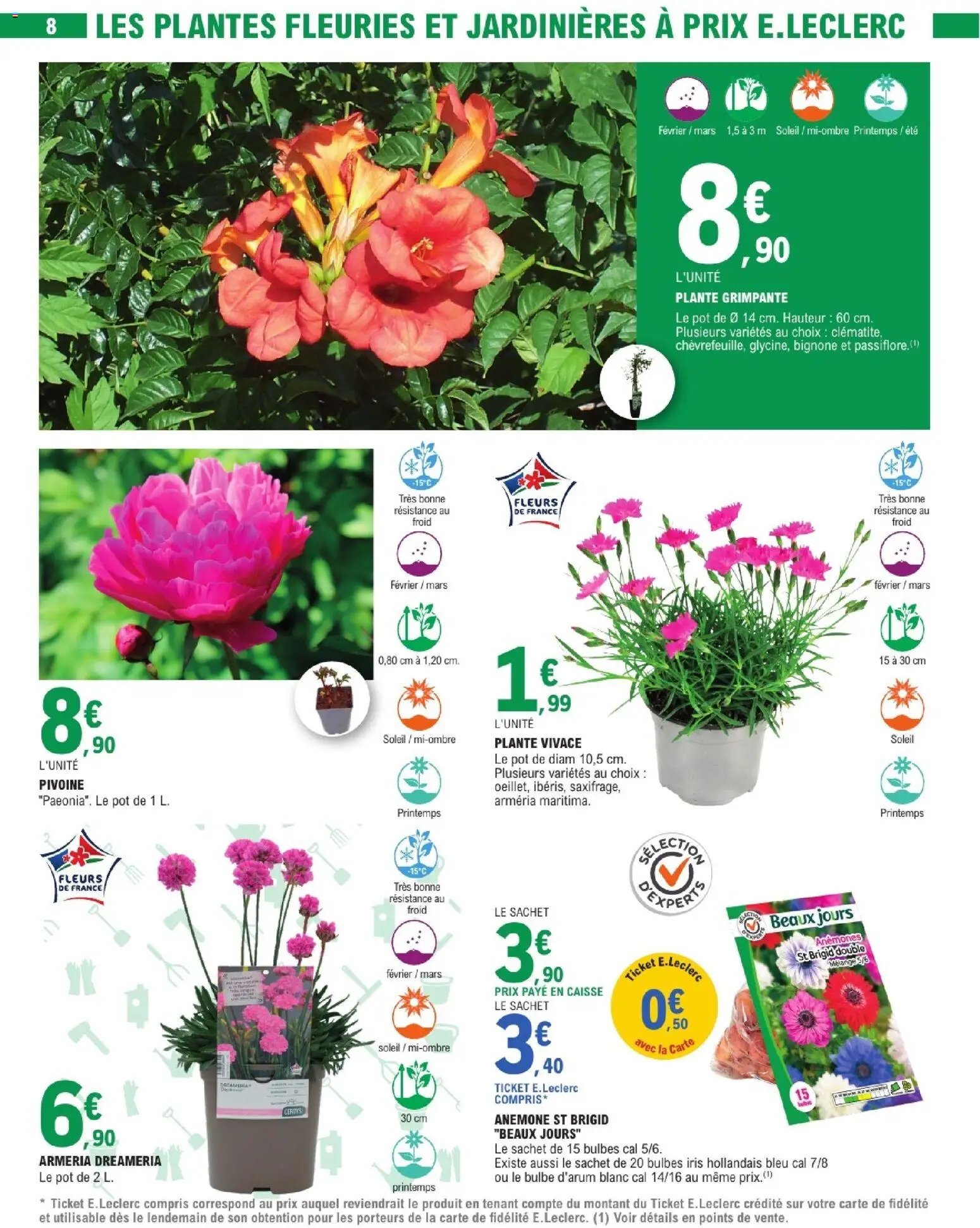 Brico E.Leclerc - Jardin