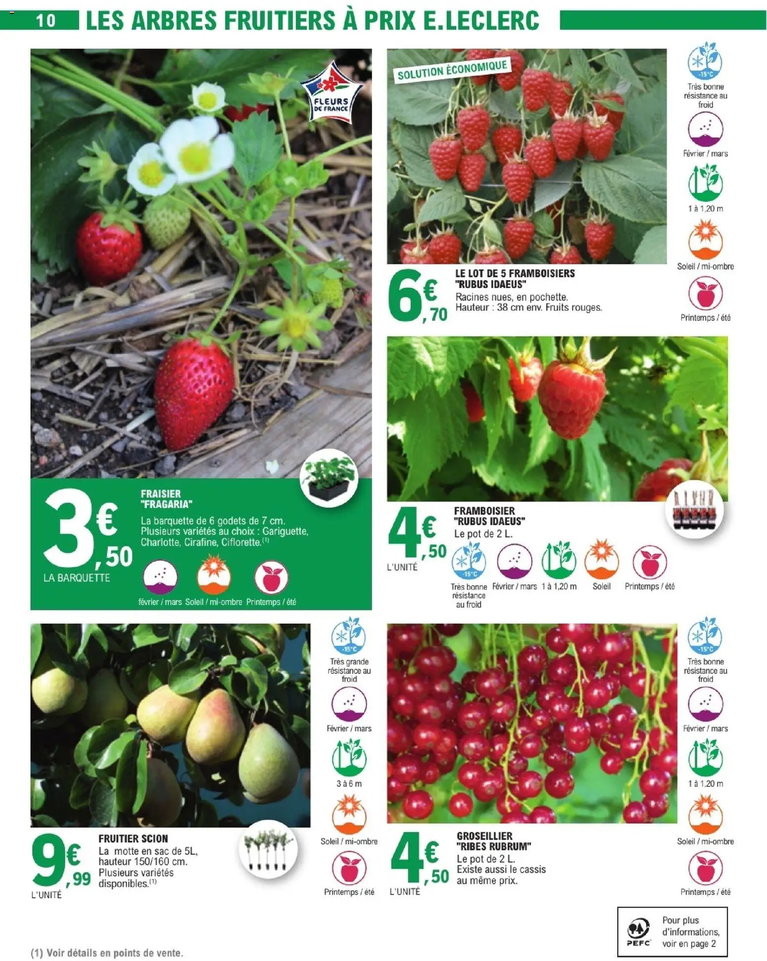 Brico E.Leclerc - Jardin