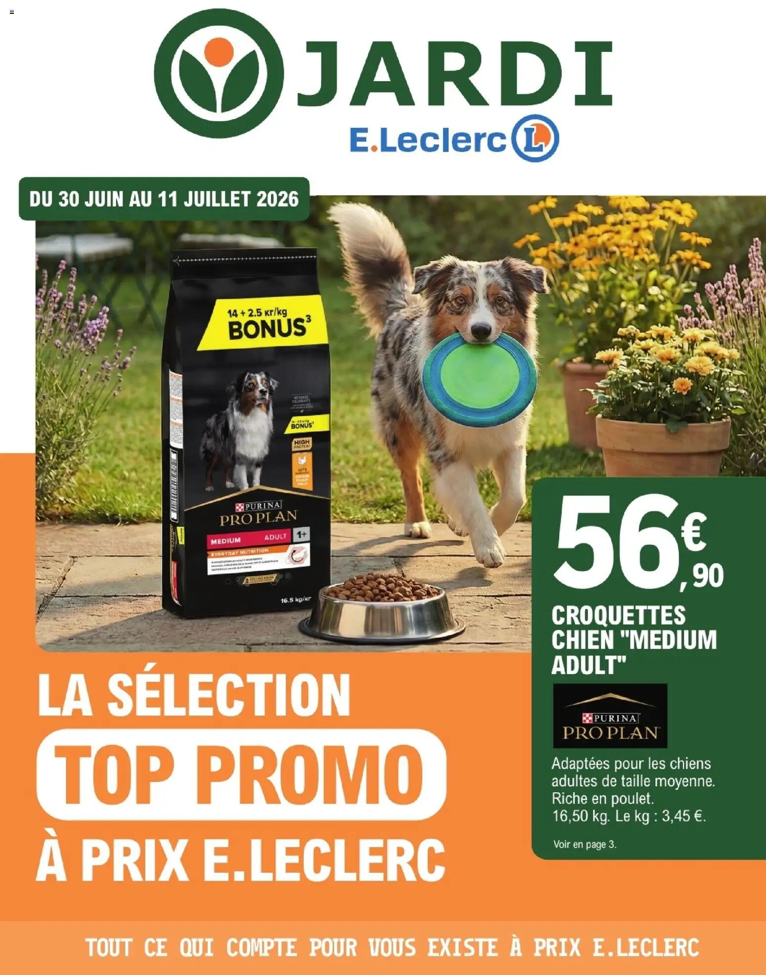 Brico E.Leclerc - Jardi Trafic animalerie 6