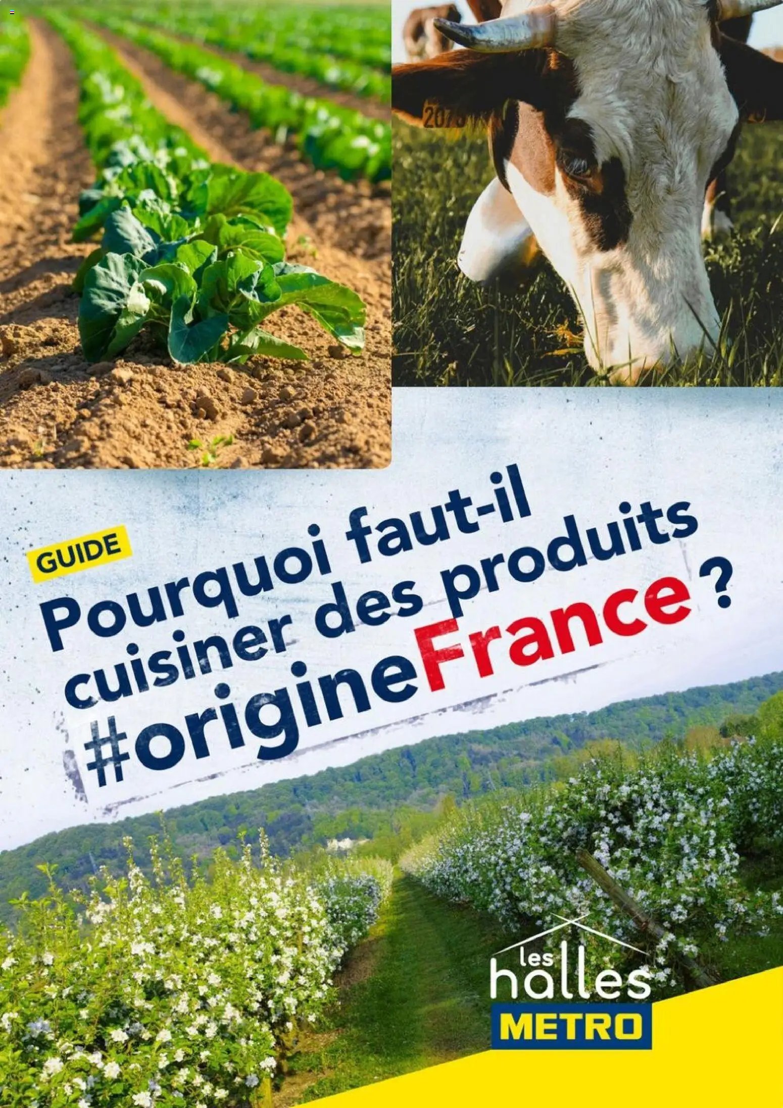METRO - Guide Origine France
