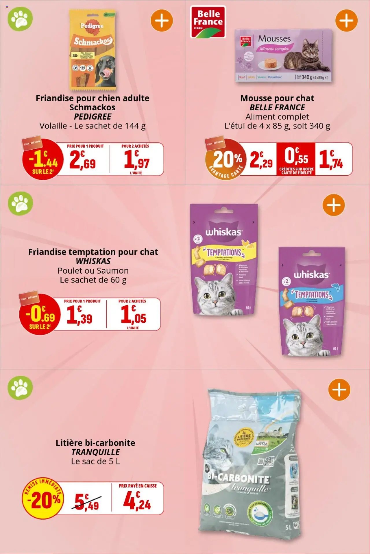 Coccinelle - Market (2025-10-08 - 2025-10-19)