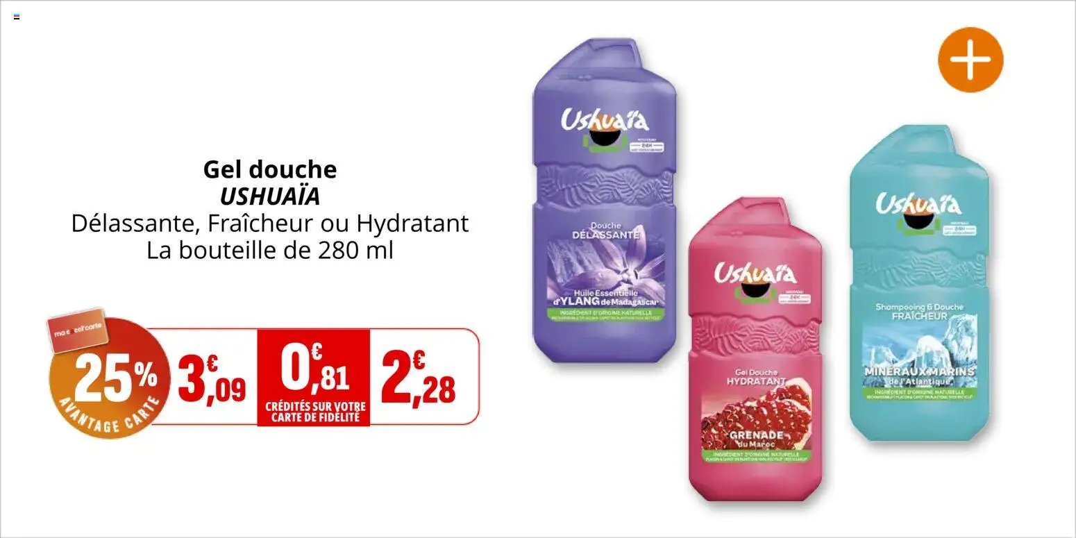 Coccinelle - Market