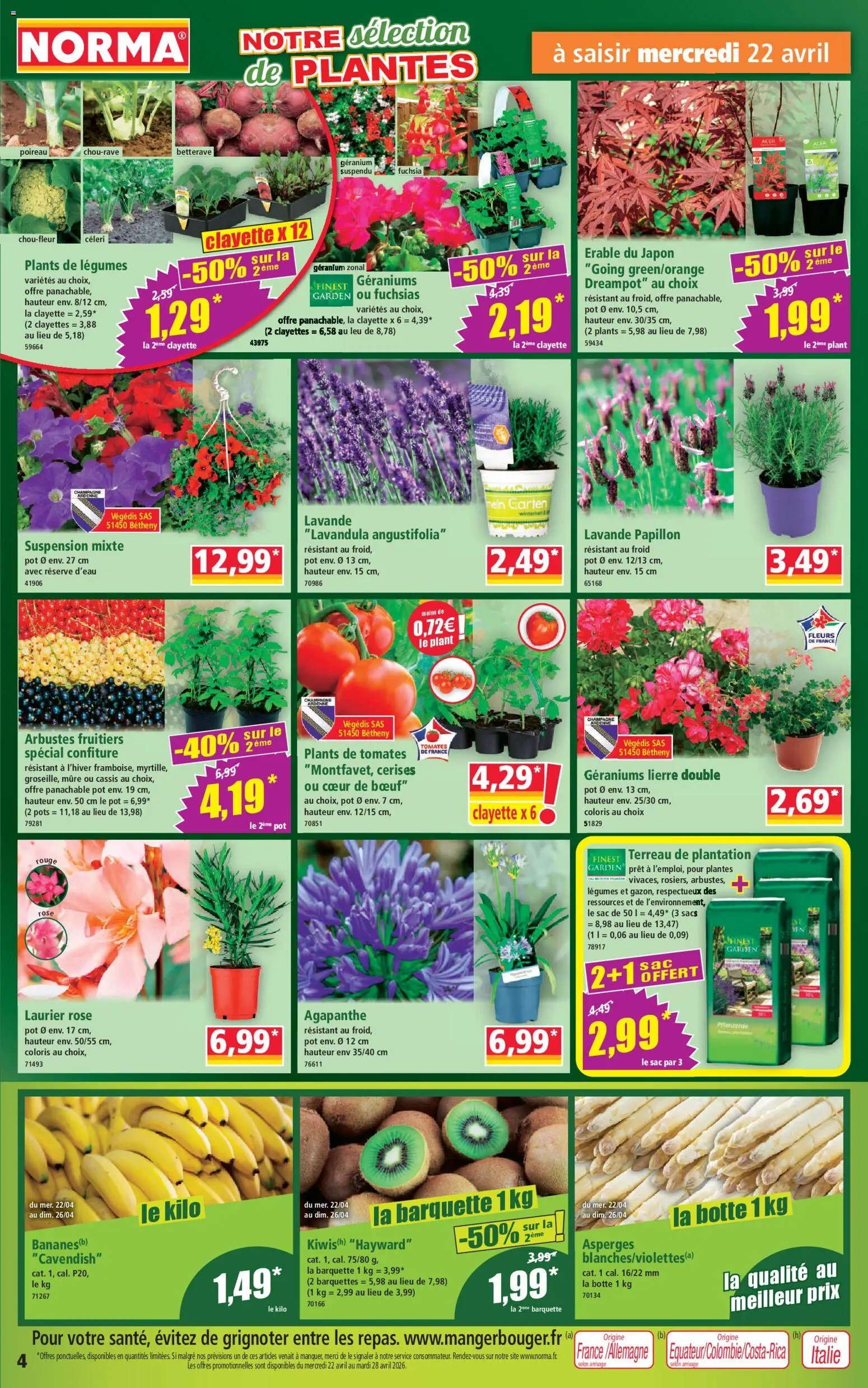 Norma catalogue (2026-04-22 - 2026-04-28)