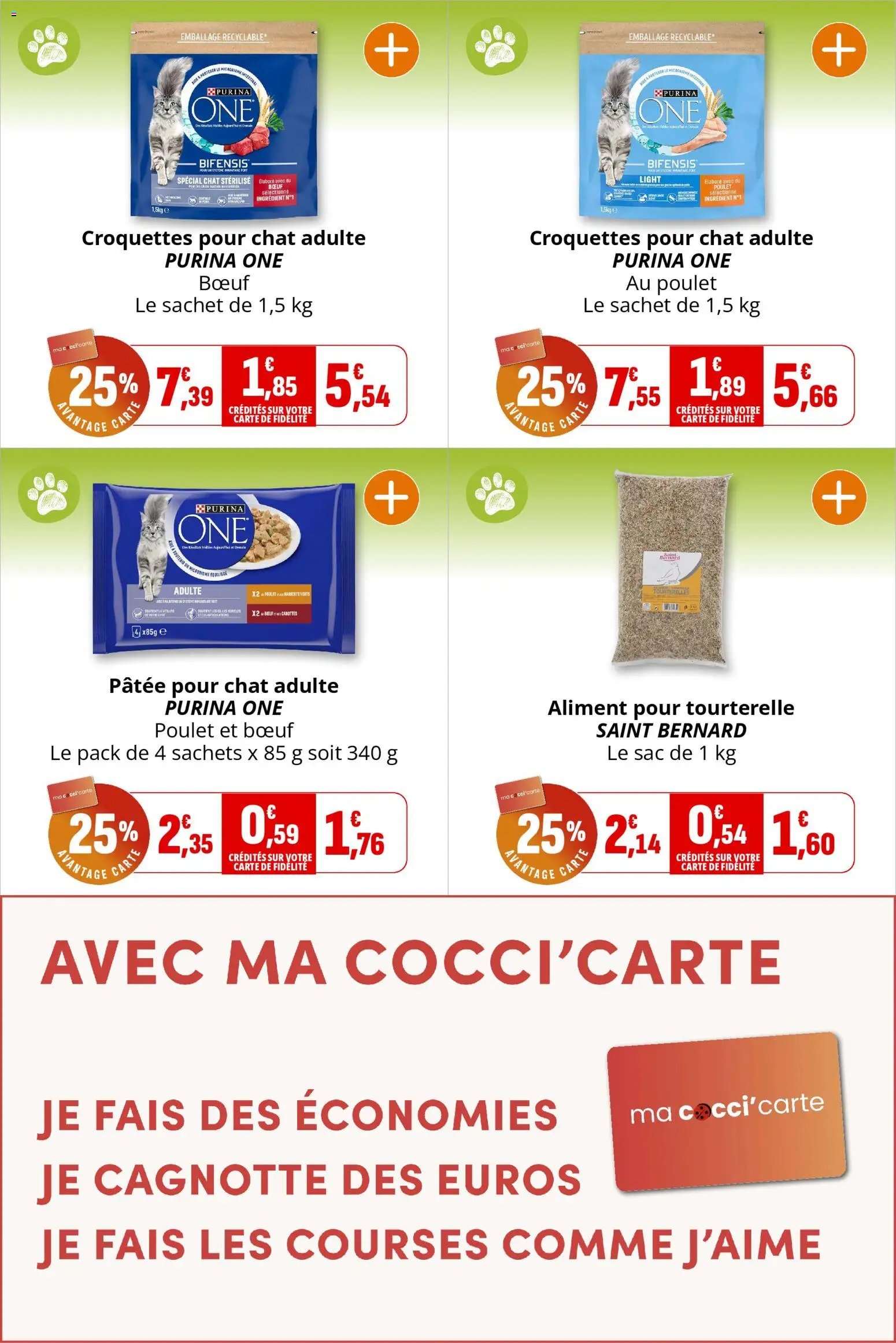 Coccinelle catalogue