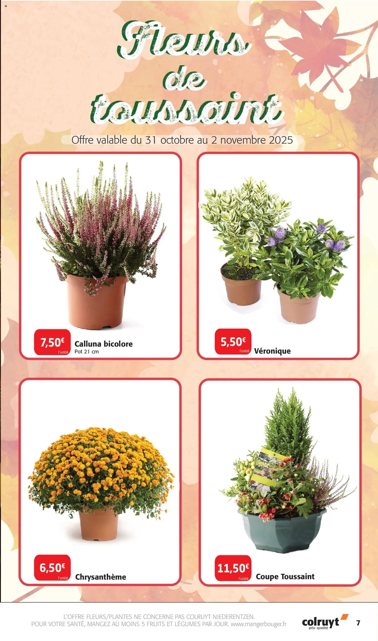 Colruyt - Une saison pour les gourmands