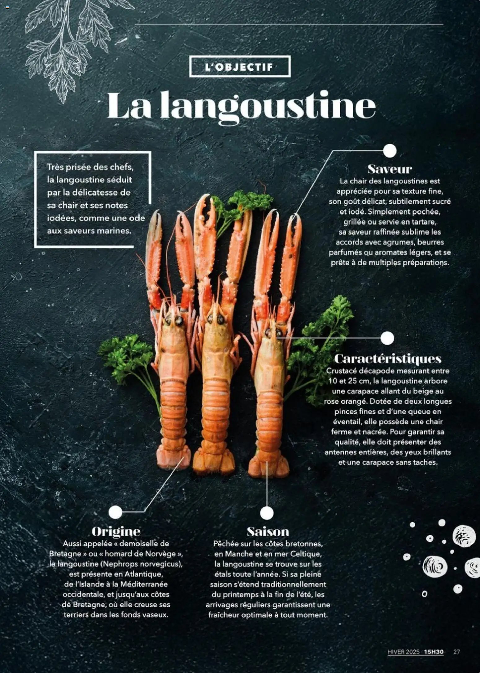 METRO - Magazine 15h30 N° 16 (2025-12-01 - 2026-01-22)