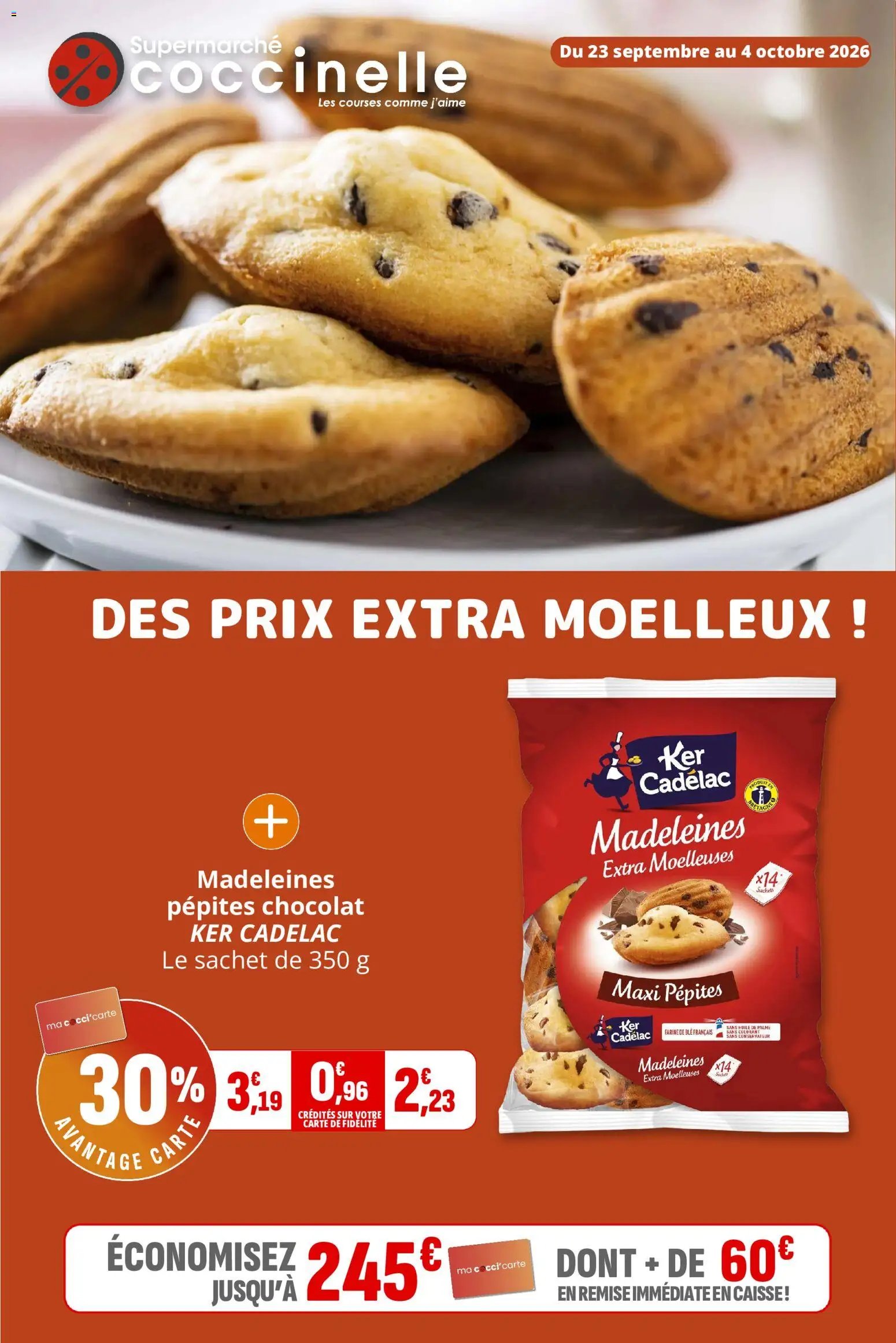 Coccinelle catalogue