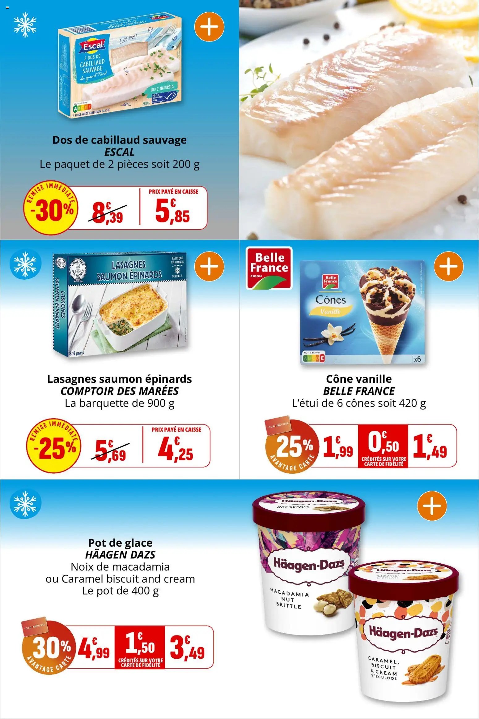 Coccinelle catalogue
