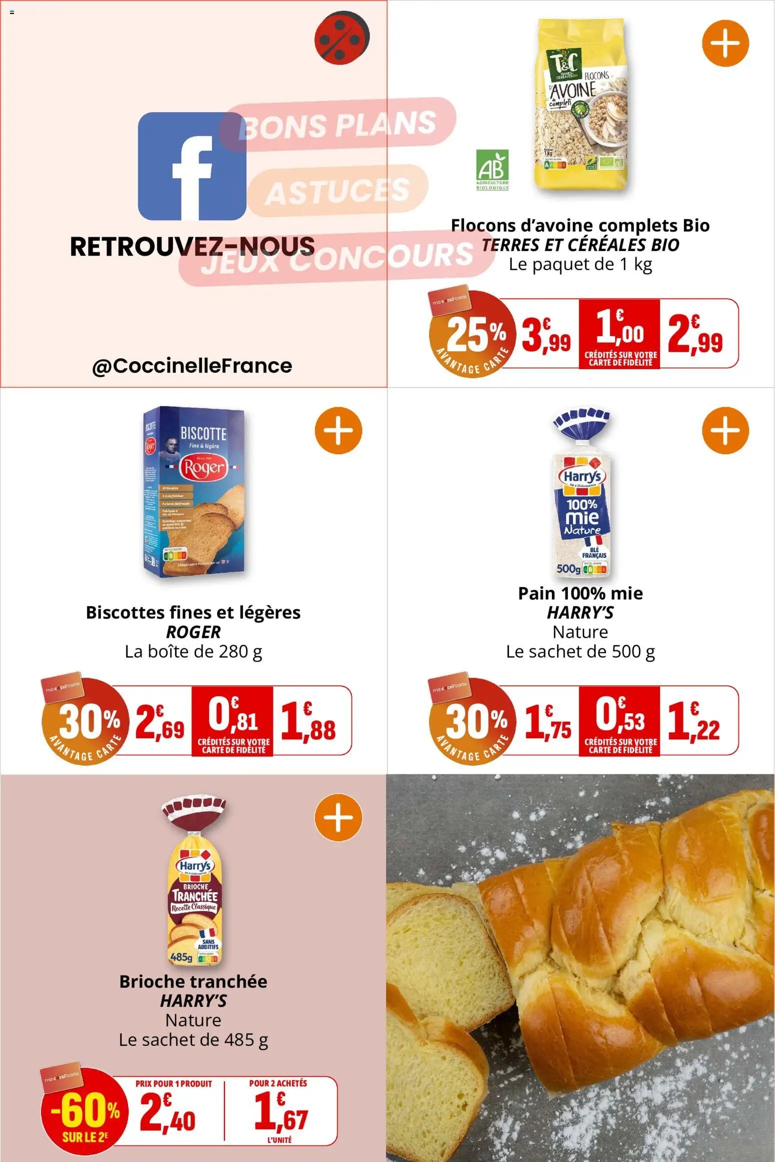 Coccinelle catalogue
